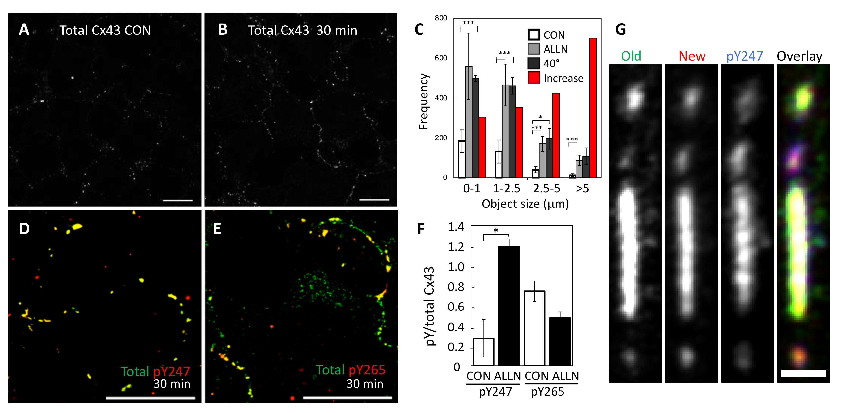 Biomolecules 10 01596 g007