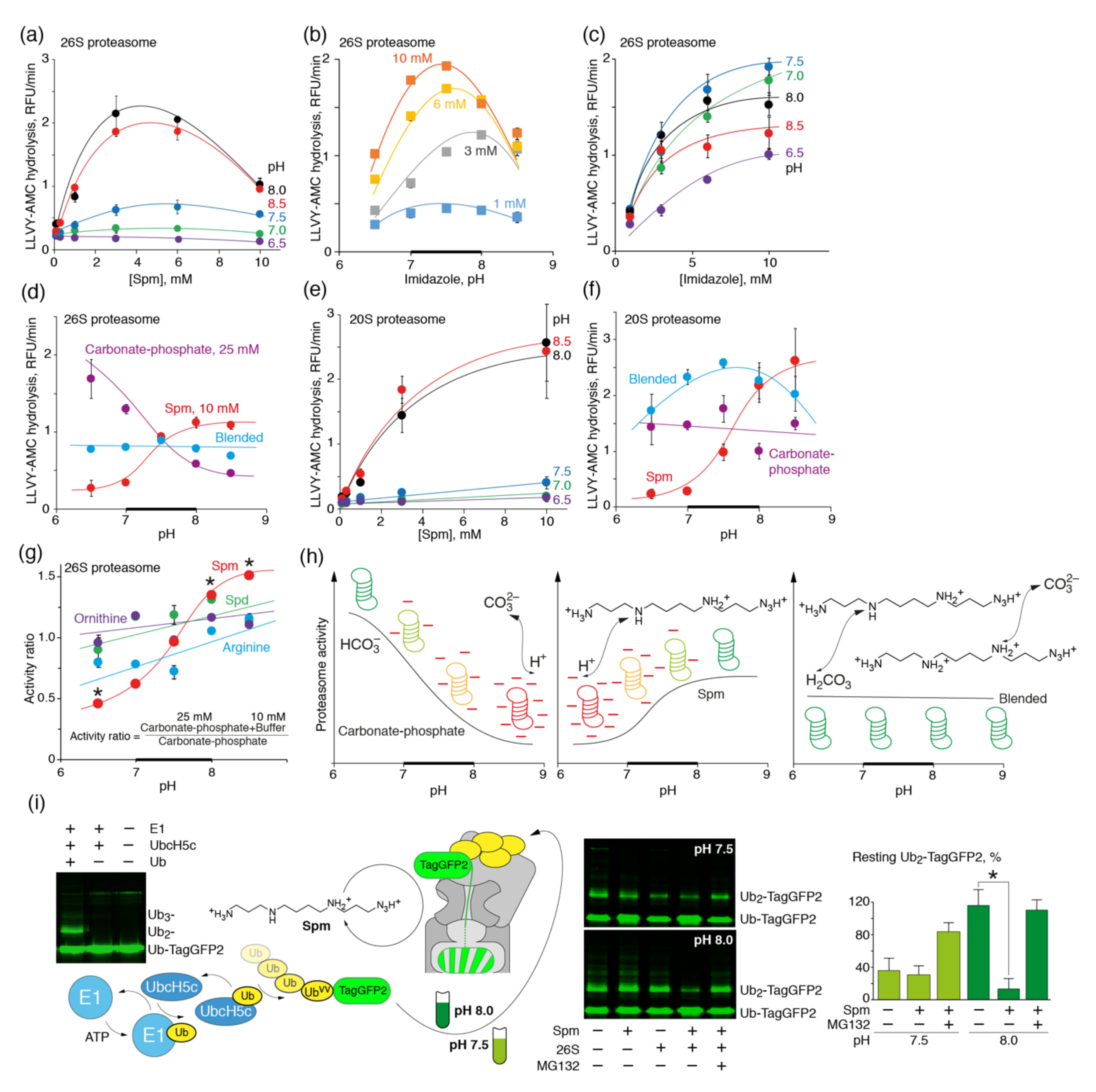 Biomolecules 10 01597 g004