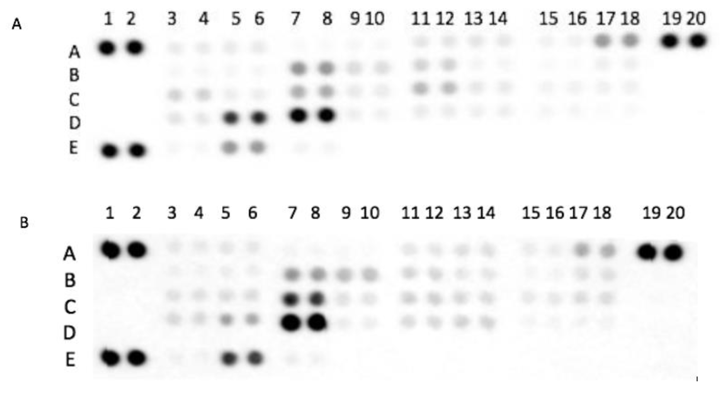 Biomolecules 10 01600 g001 Biomolecules 10 01600 g001