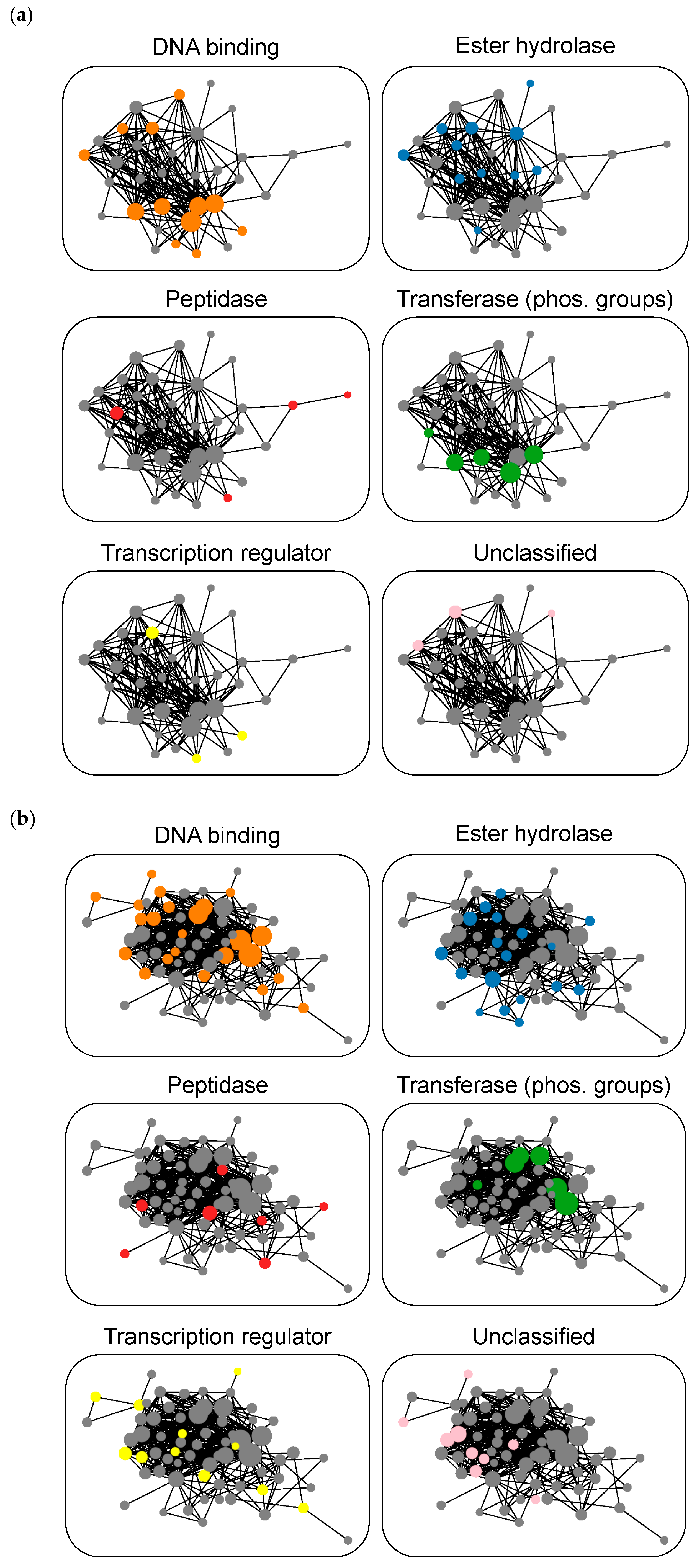 Biomolecules 10 01605 g004 Biomolecules 10 01605 g004