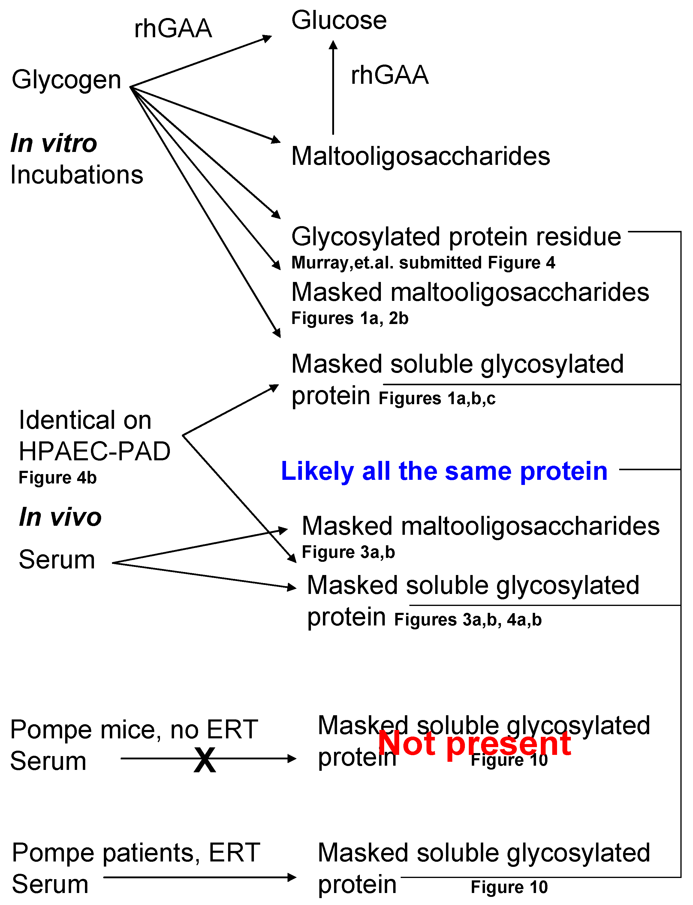 Biomolecules 10 01613 g011