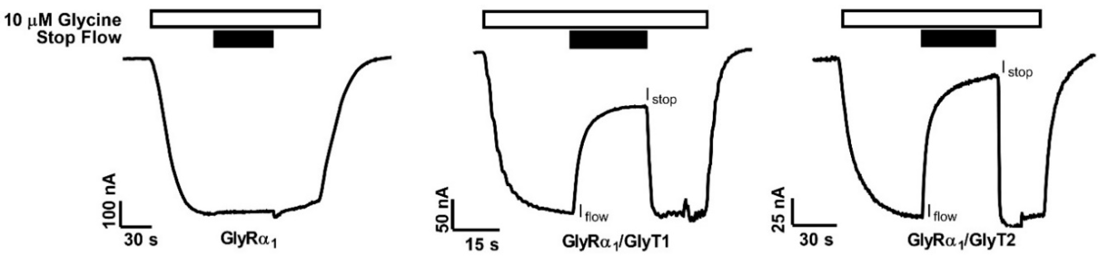 Biomolecules 10 01618 g001