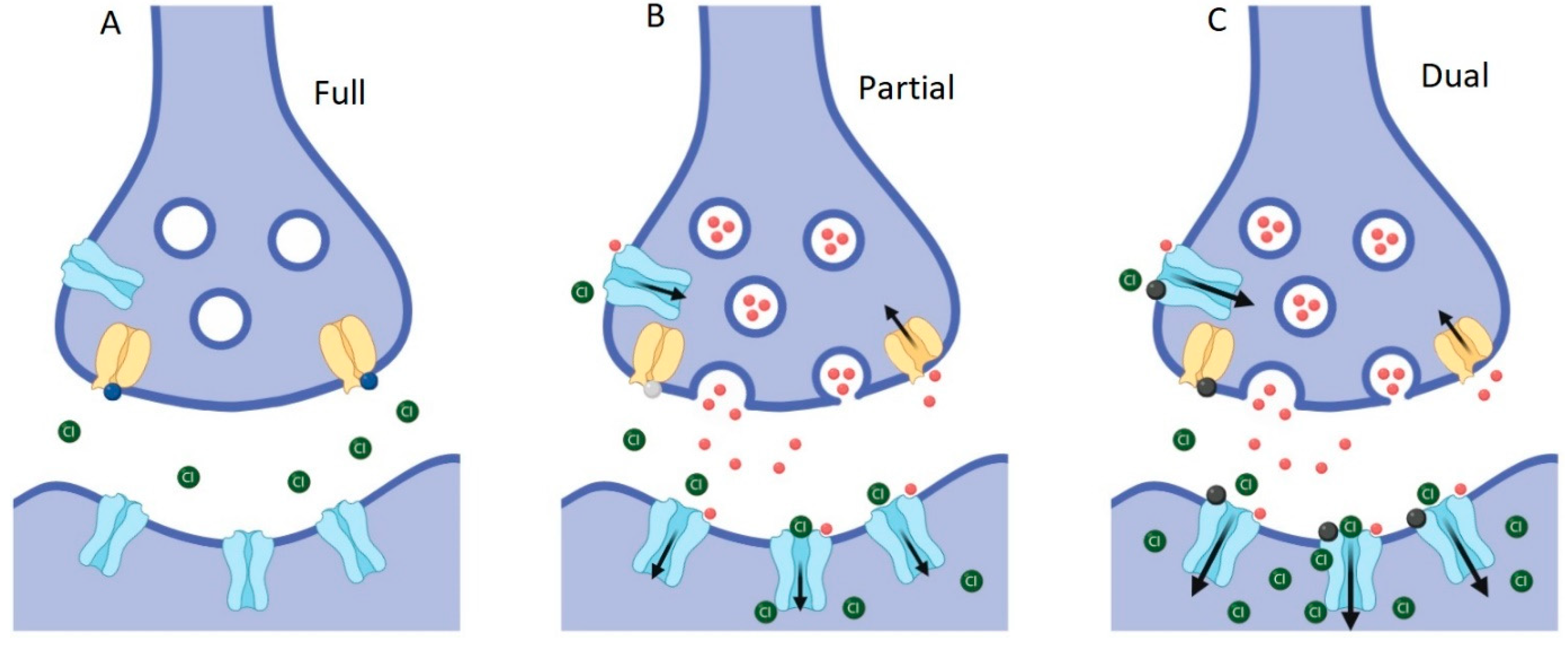 Biomolecules 10 01618 g013