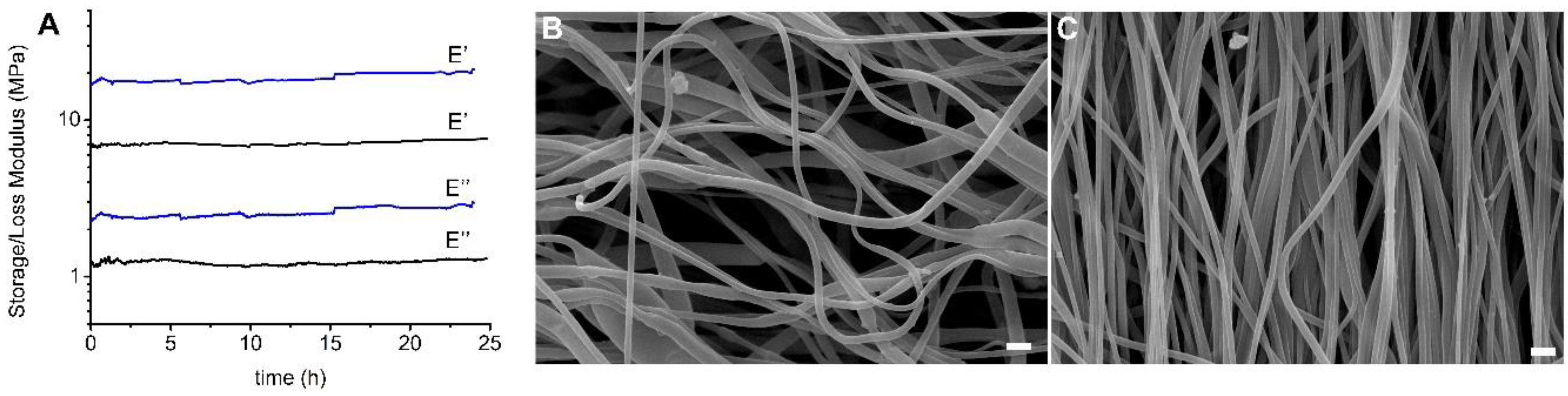 Biomolecules 10 01620 g004 Biomolecules 10 01620 g004