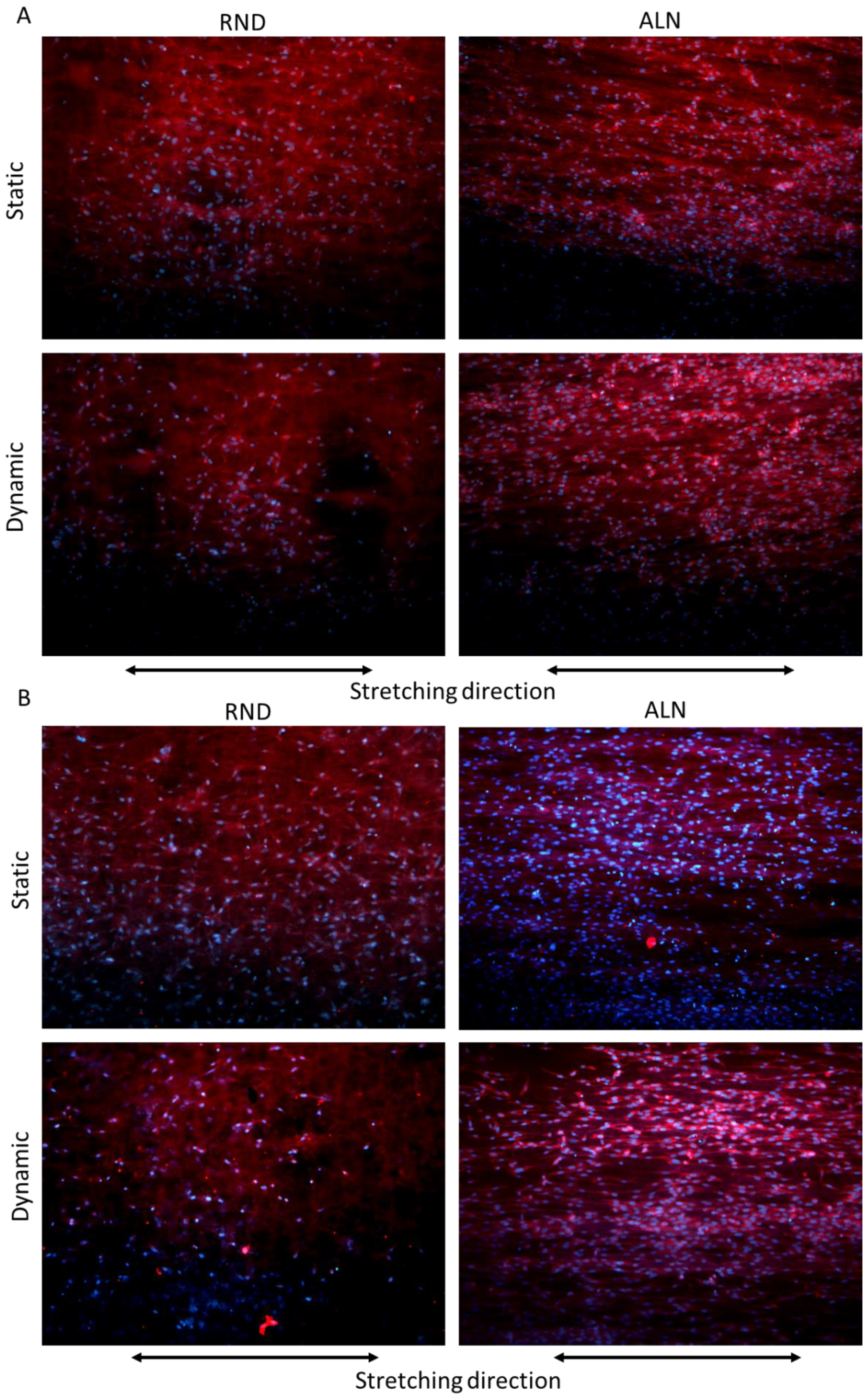 Biomolecules 10 01620 g007 Biomolecules 10 01620 g007
