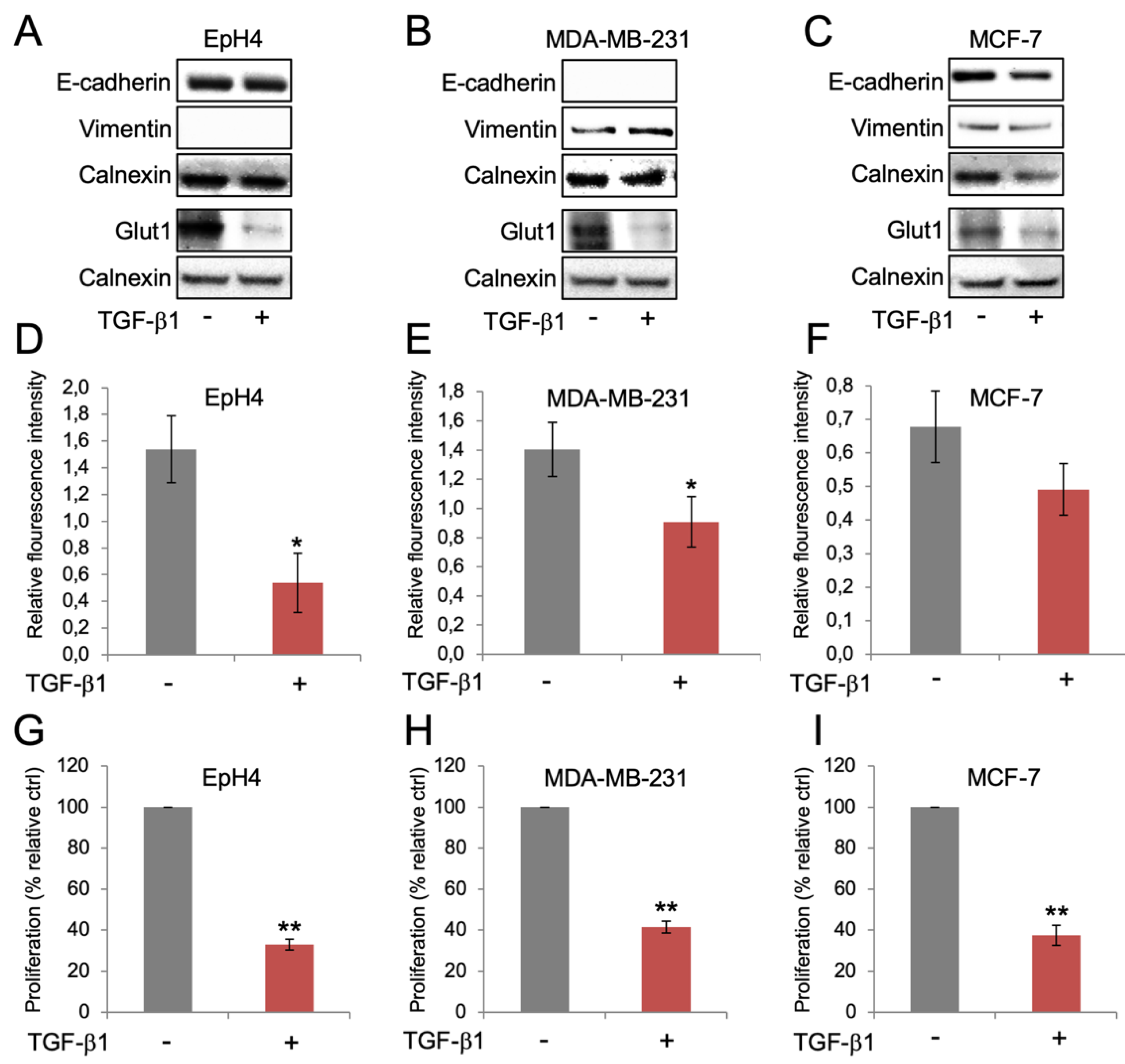Biomolecules 10 01621 g002