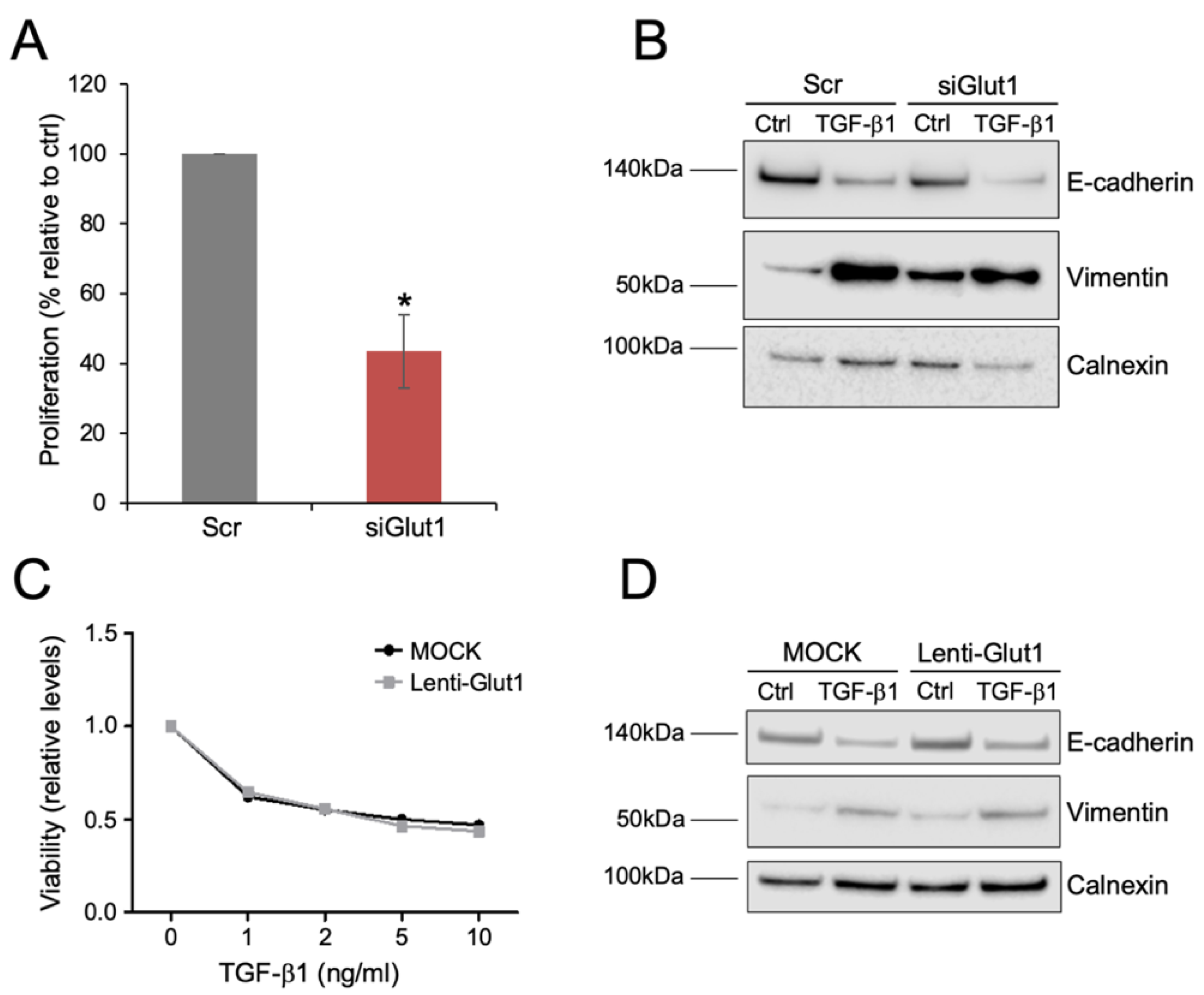 Biomolecules 10 01621 g004