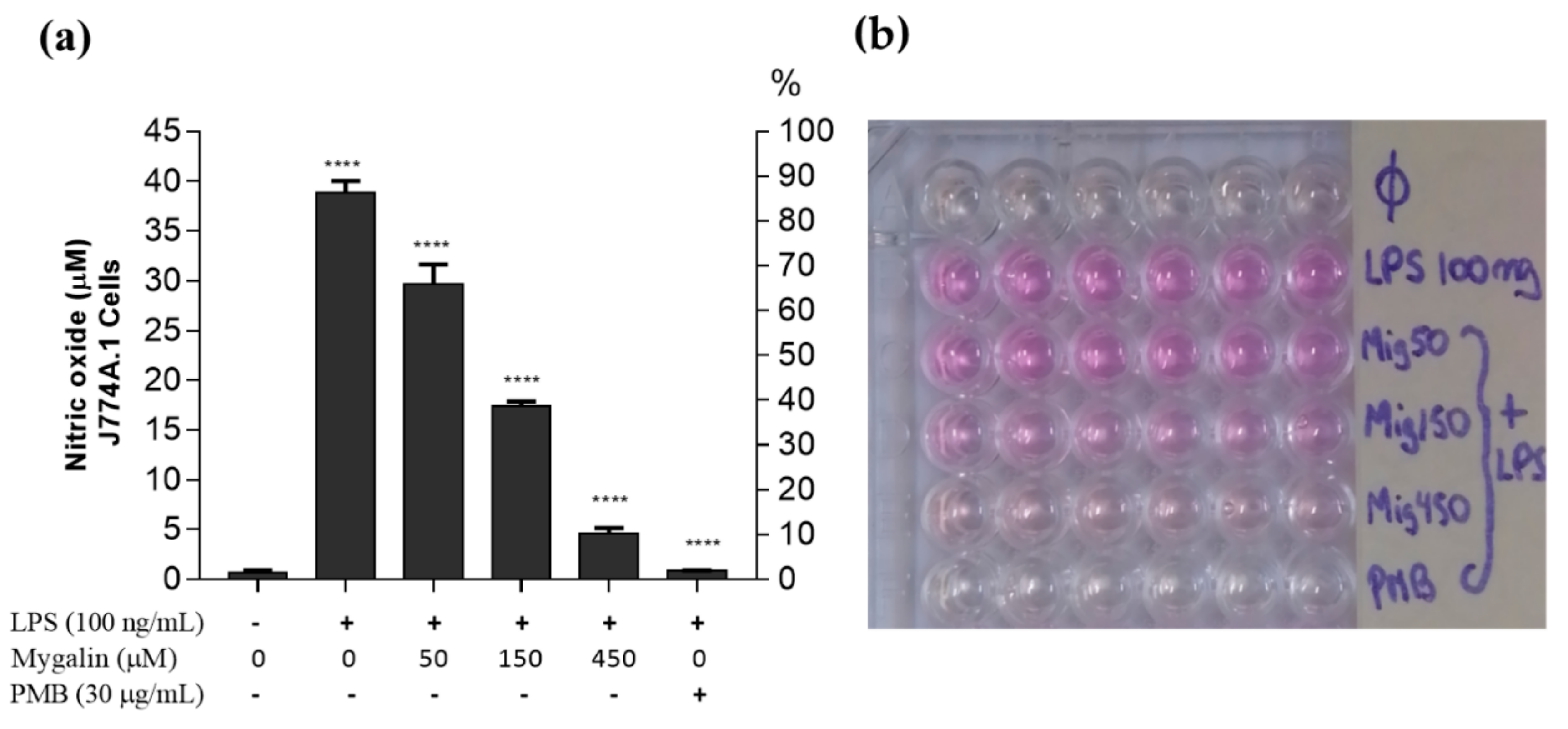 Biomolecules 10 01624 g008