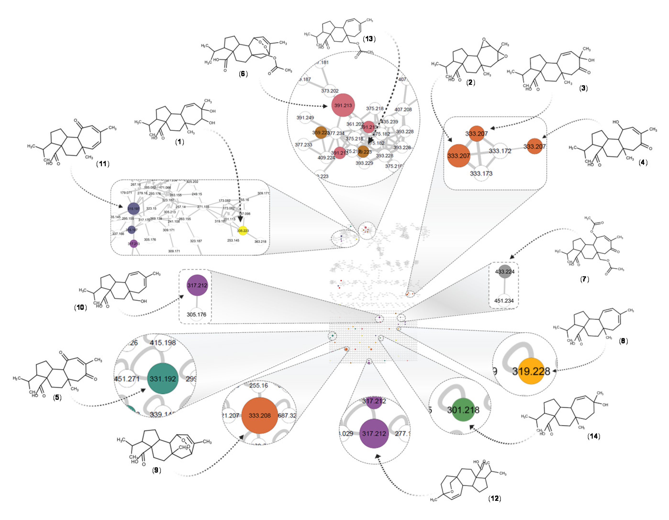 Biomolecules 10 01626 g005
