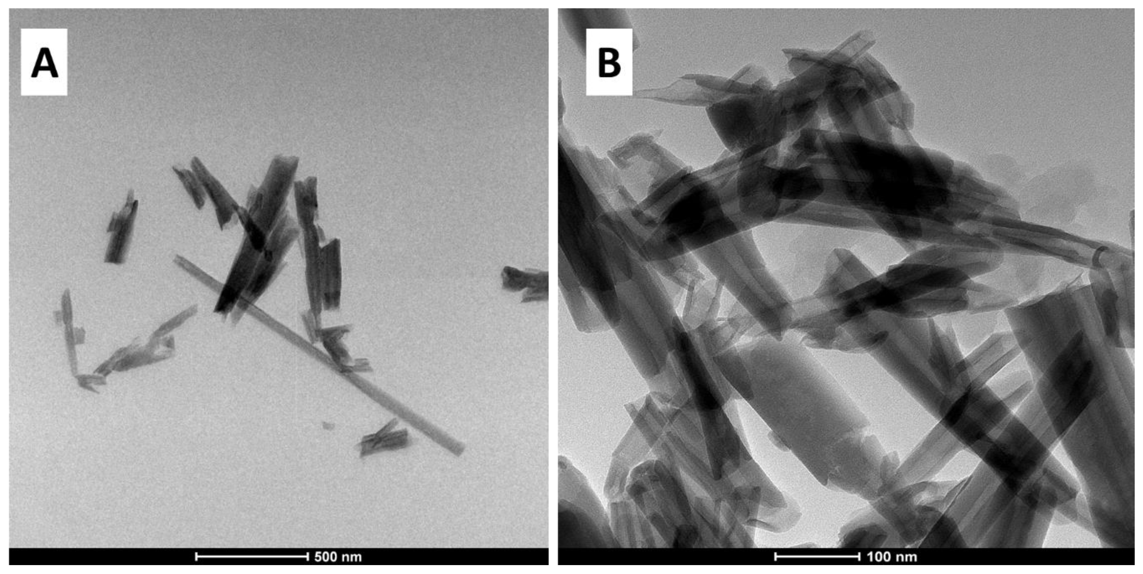 Biomolecules 10 01632 g003 Biomolecules 10 01632 g003