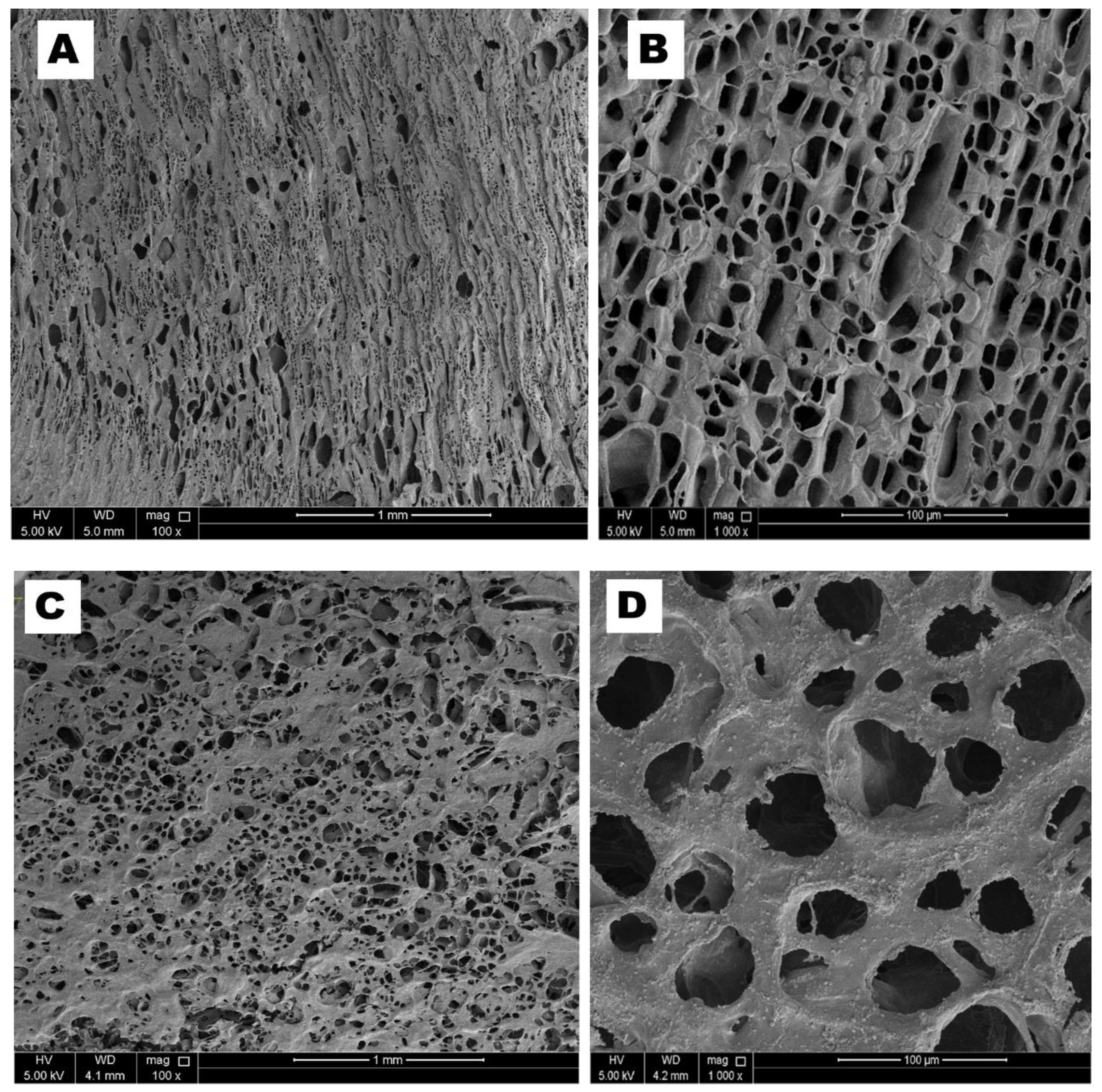 Biomolecules 10 01632 g004 Biomolecules 10 01632 g004