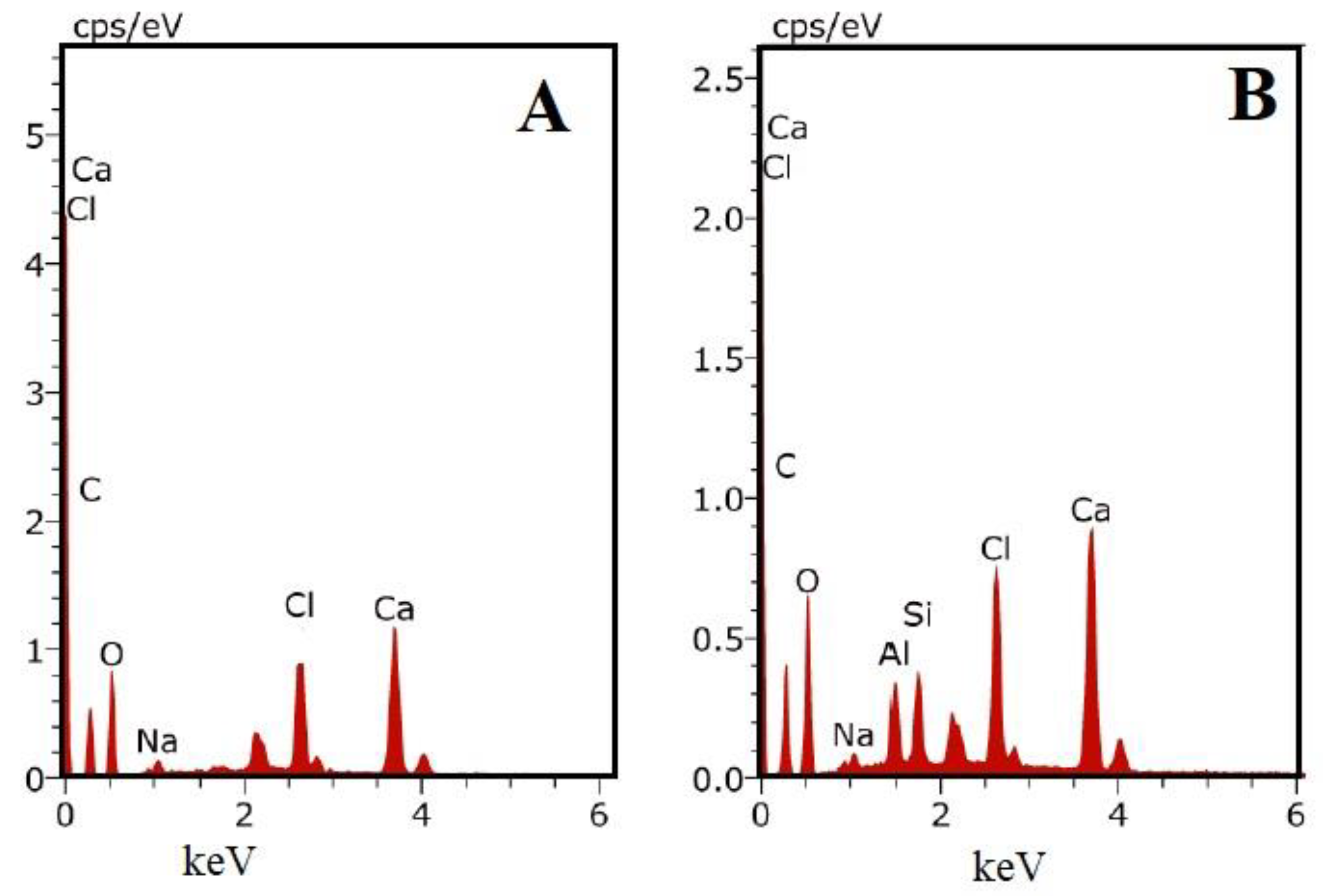 Biomolecules 10 01632 g007 Biomolecules 10 01632 g007