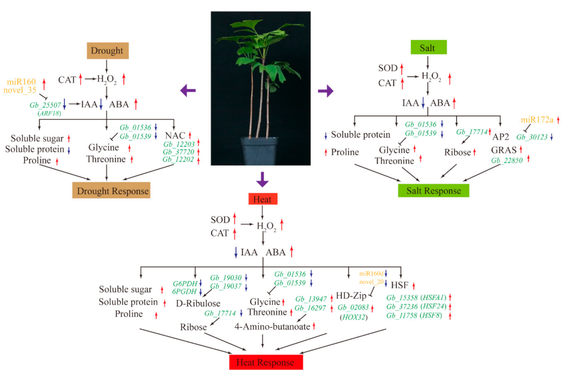 Biomolecules 10 01635 g008