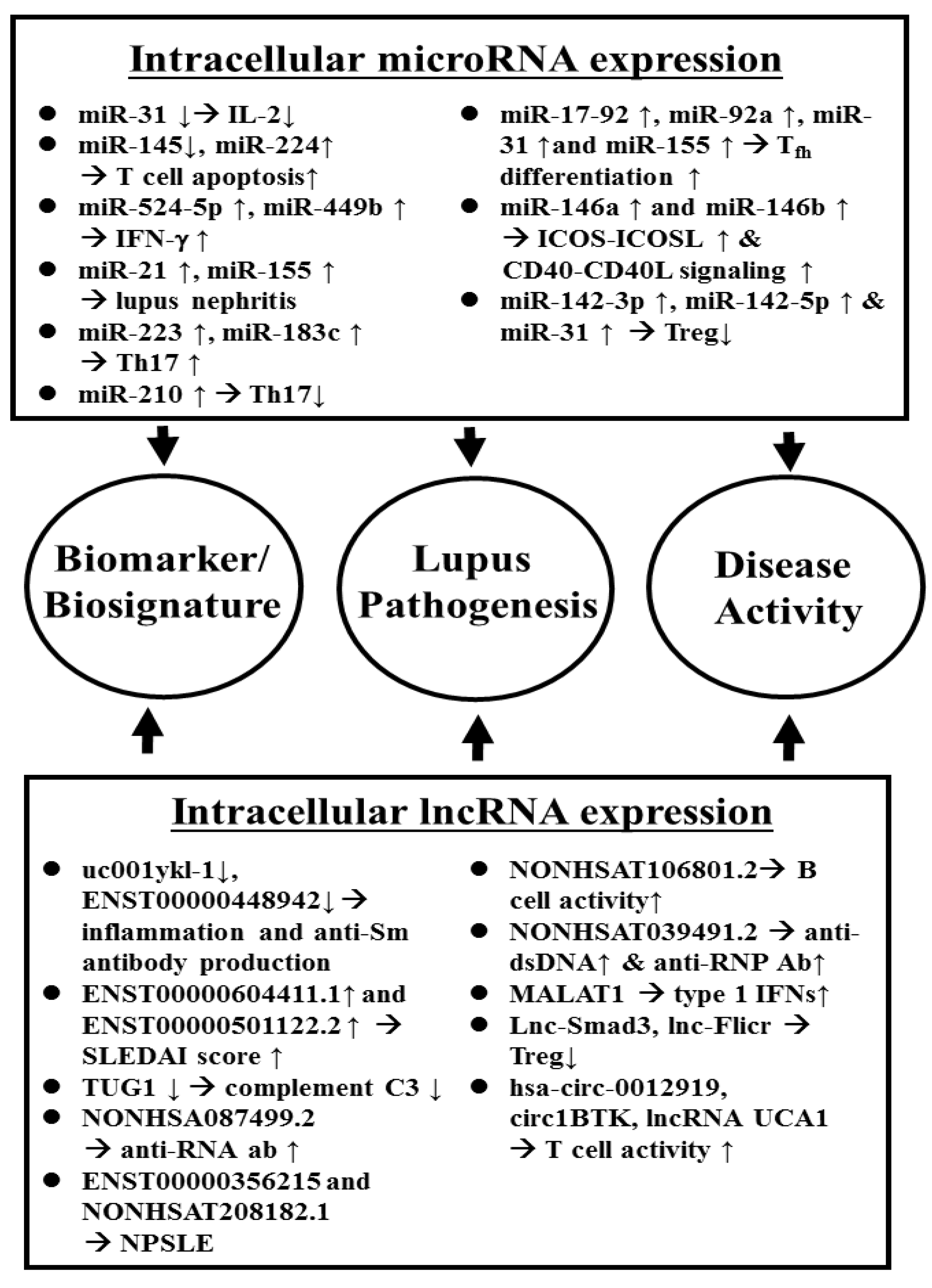 Biomolecules 10 01641 g001