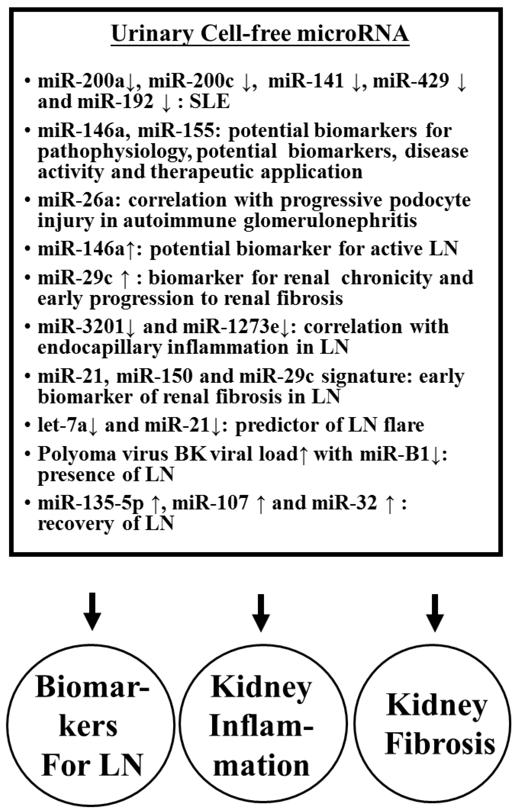 Biomolecules 10 01641 g003