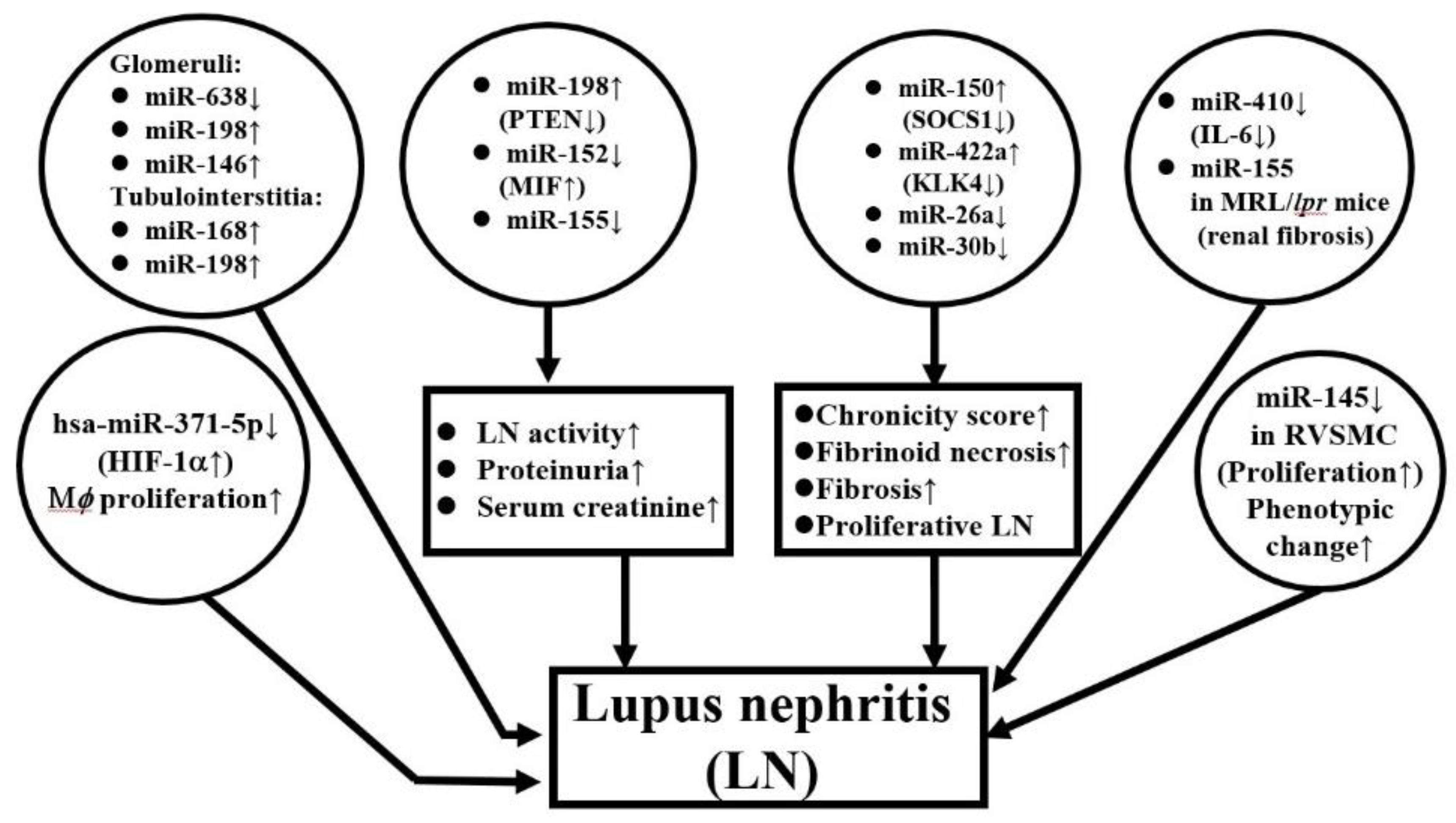 Biomolecules 10 01641 g004