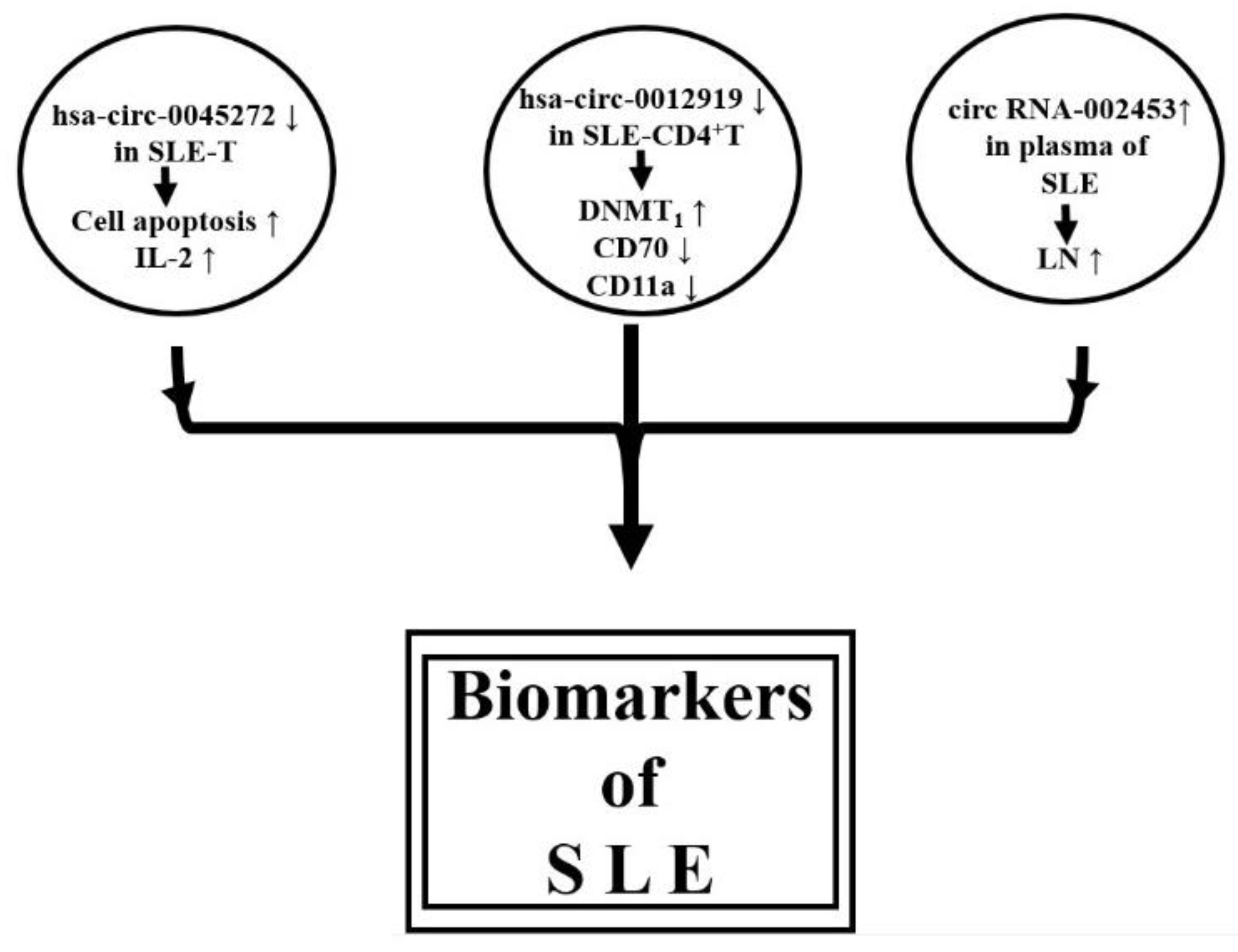 Biomolecules 10 01641 g005