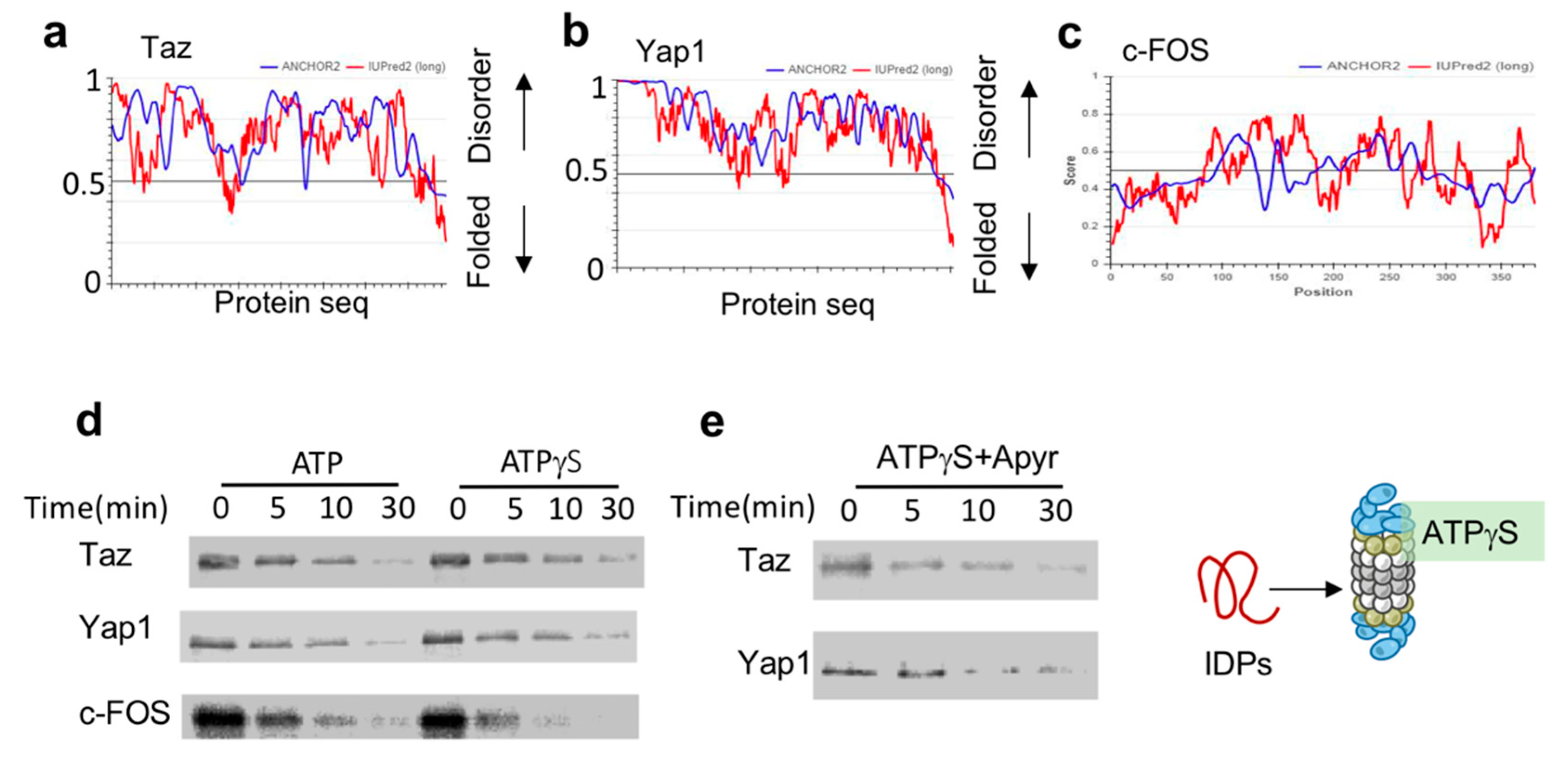 Biomolecules 10 01642 g002