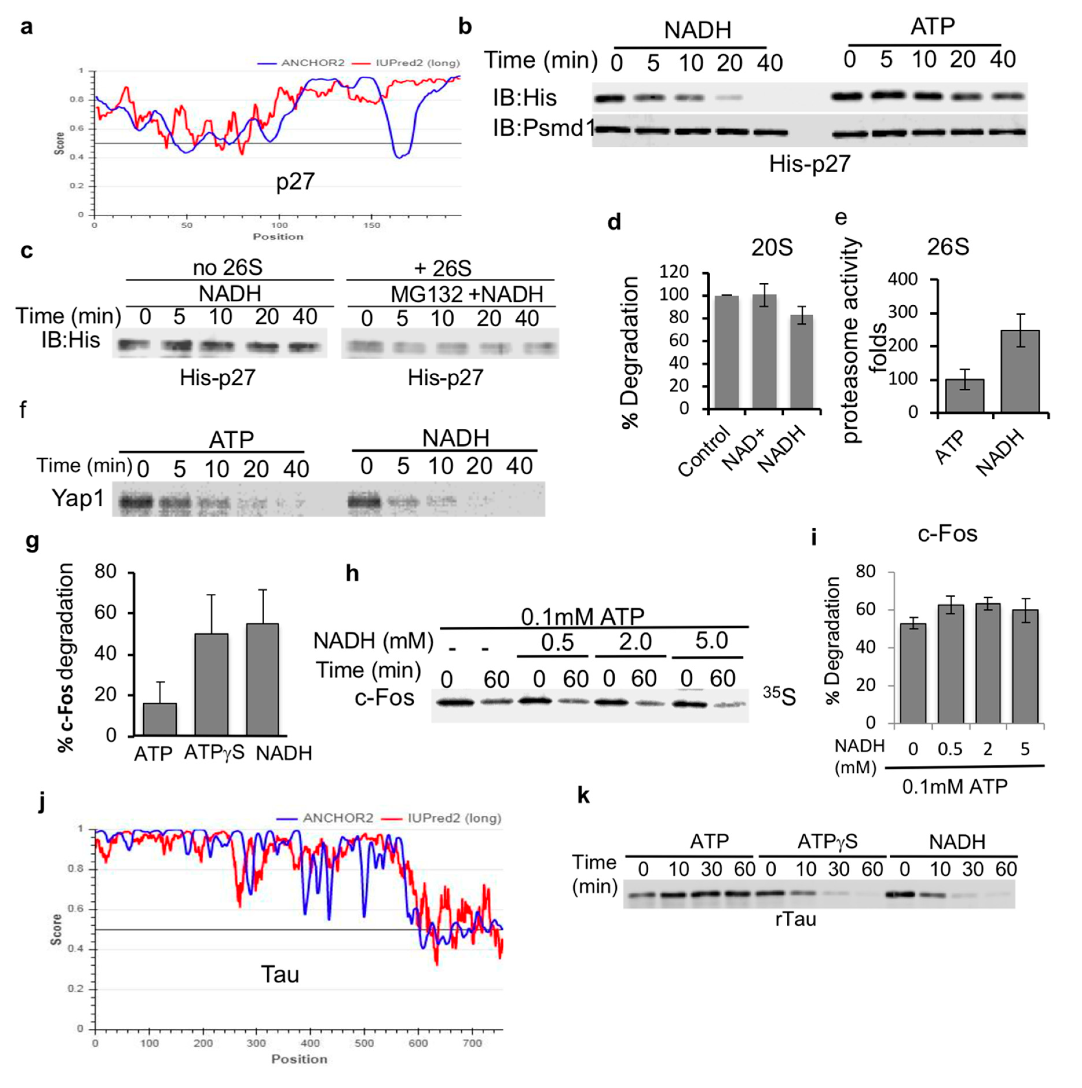 Biomolecules 10 01642 g003