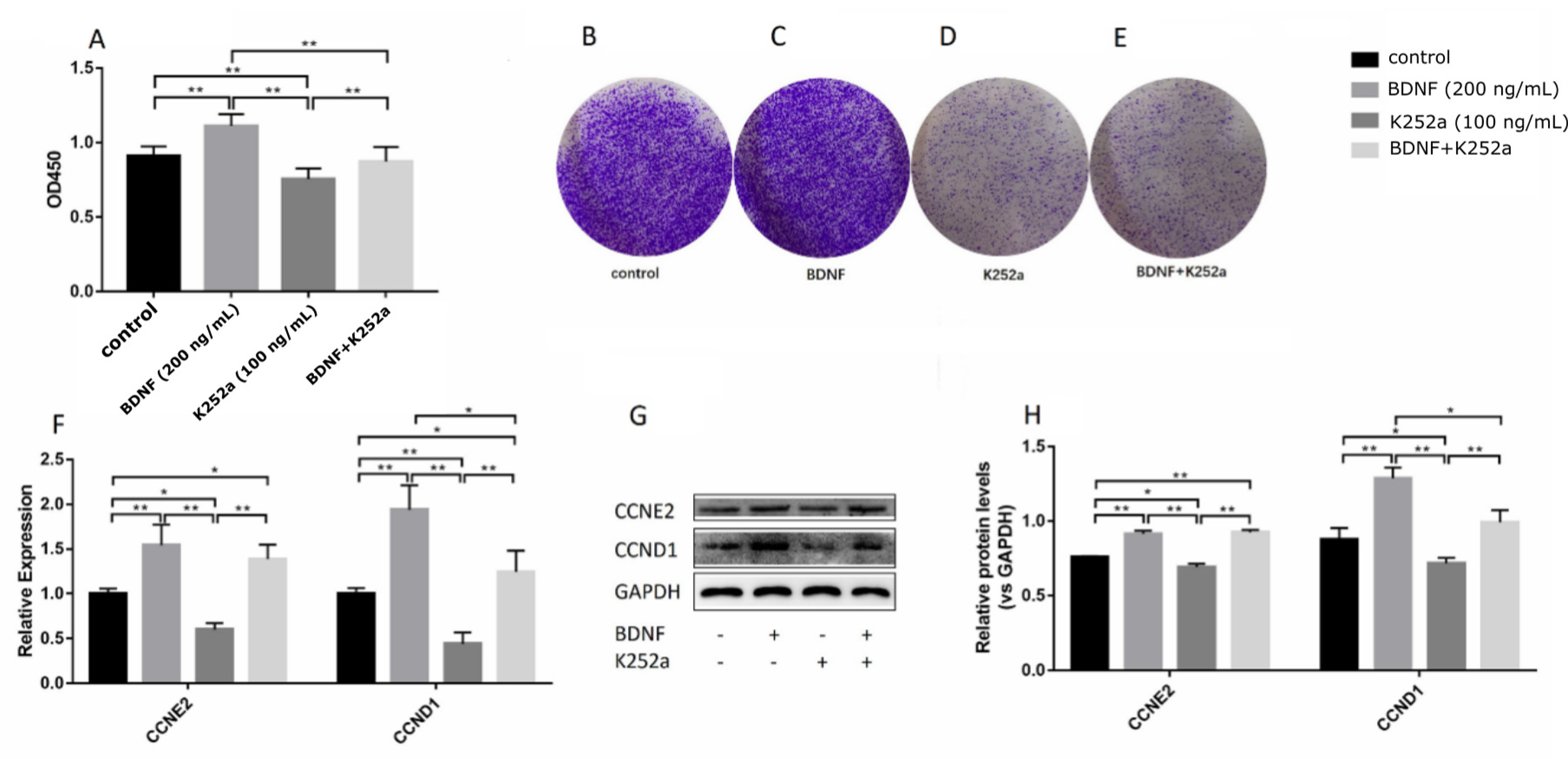 Biomolecules 10 01645 g005