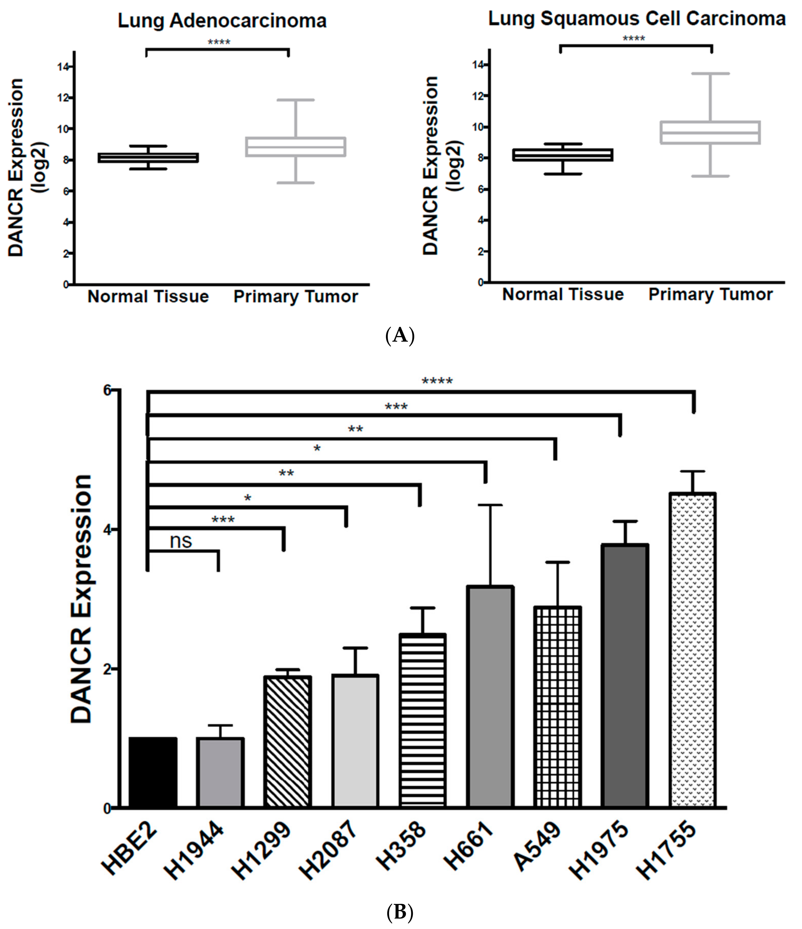 Biomolecules 10 01646 g001
