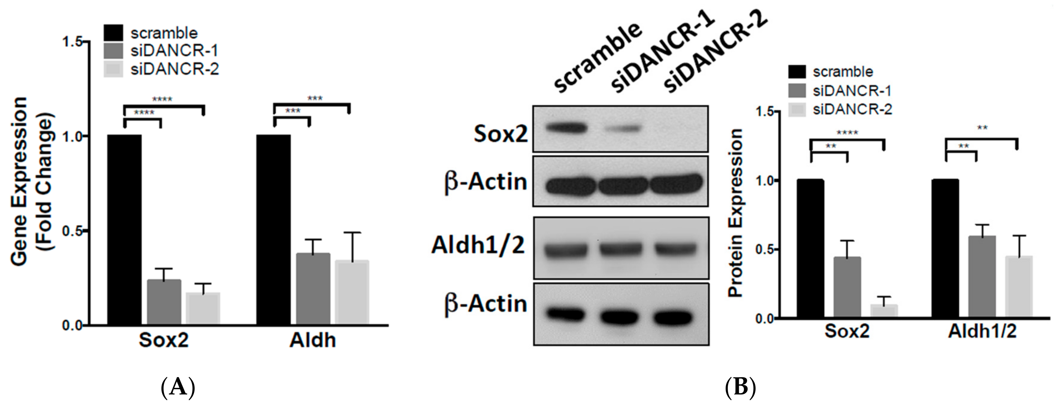 Biomolecules 10 01646 g003a