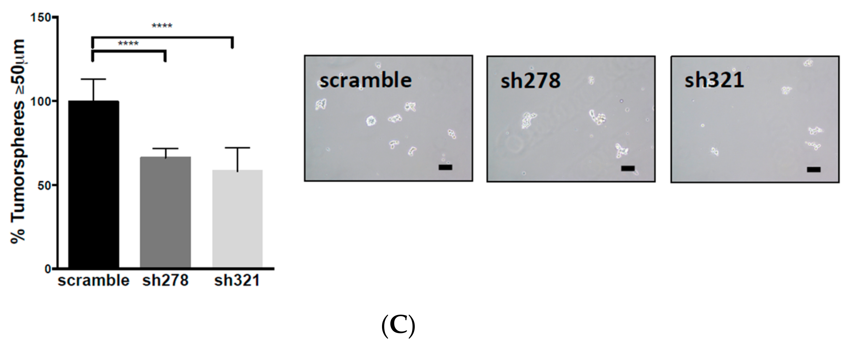 Biomolecules 10 01646 g003b