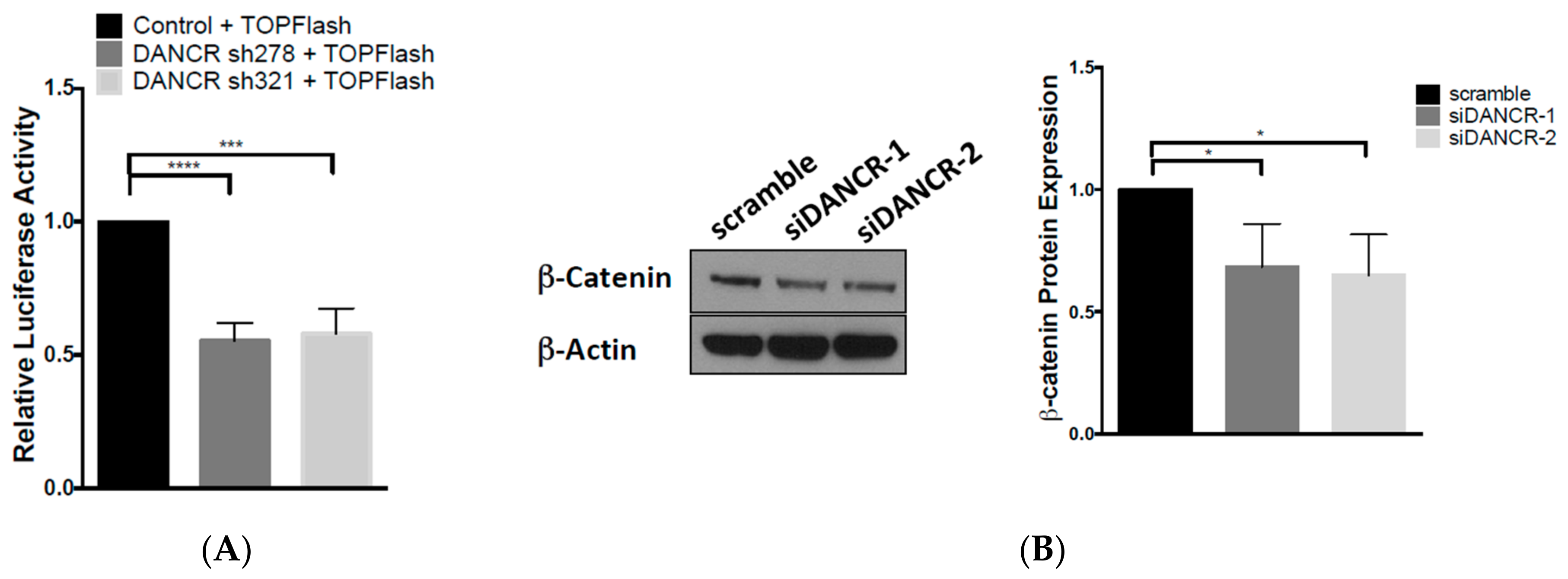 Biomolecules 10 01646 g004a