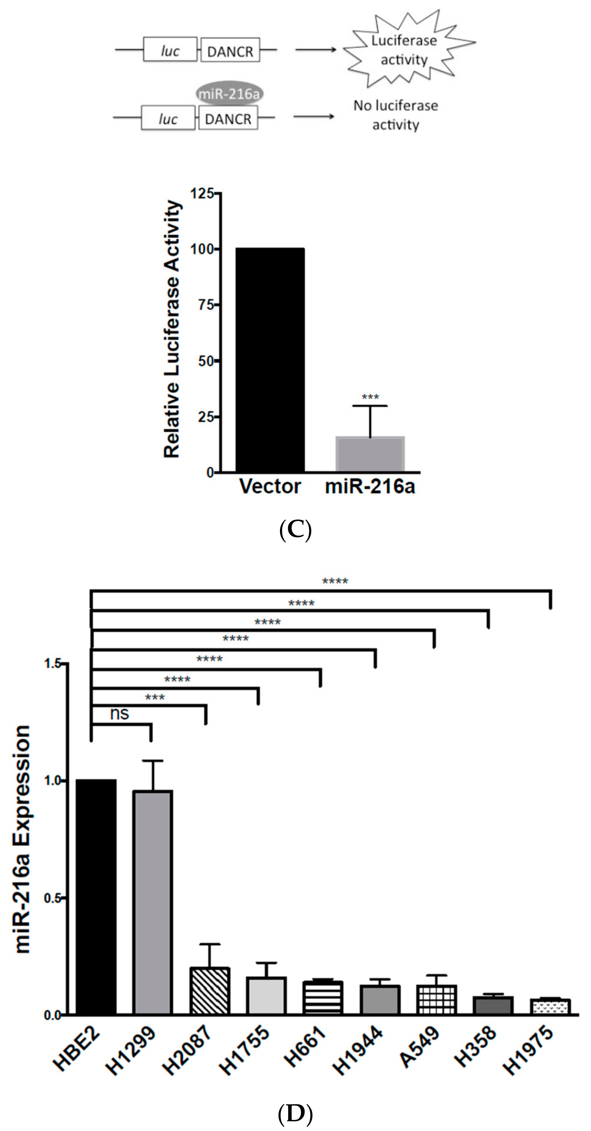 Biomolecules 10 01646 g005b