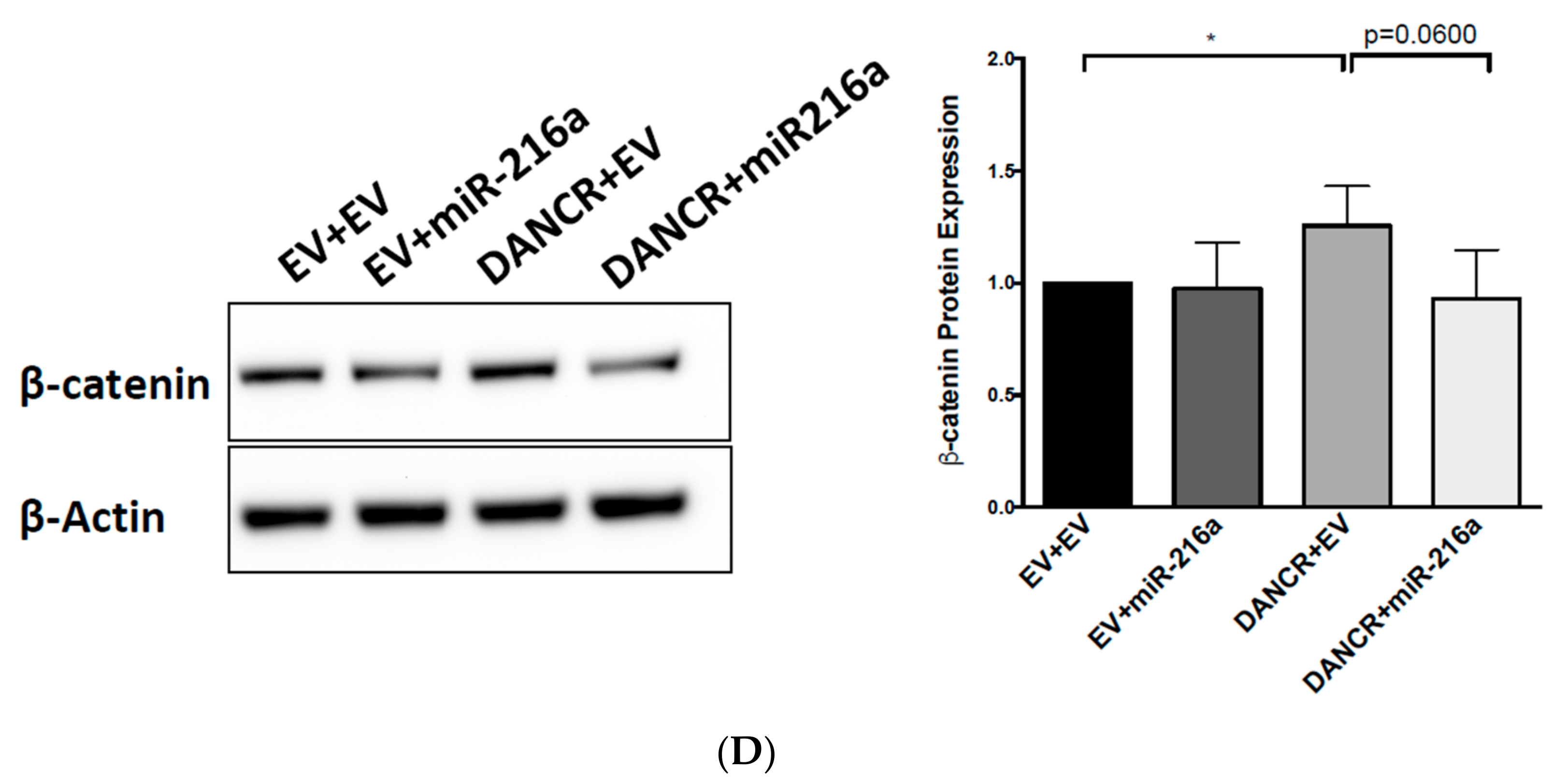 Biomolecules 10 01646 g006b