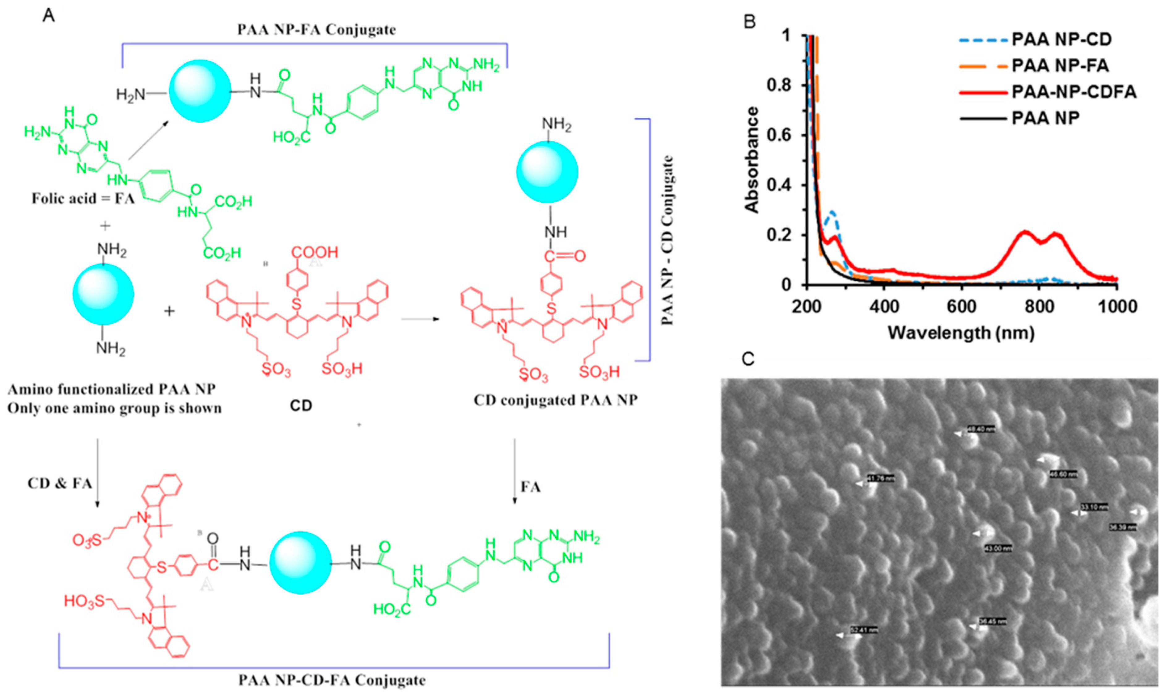 Biomolecules 10 01651 g001
