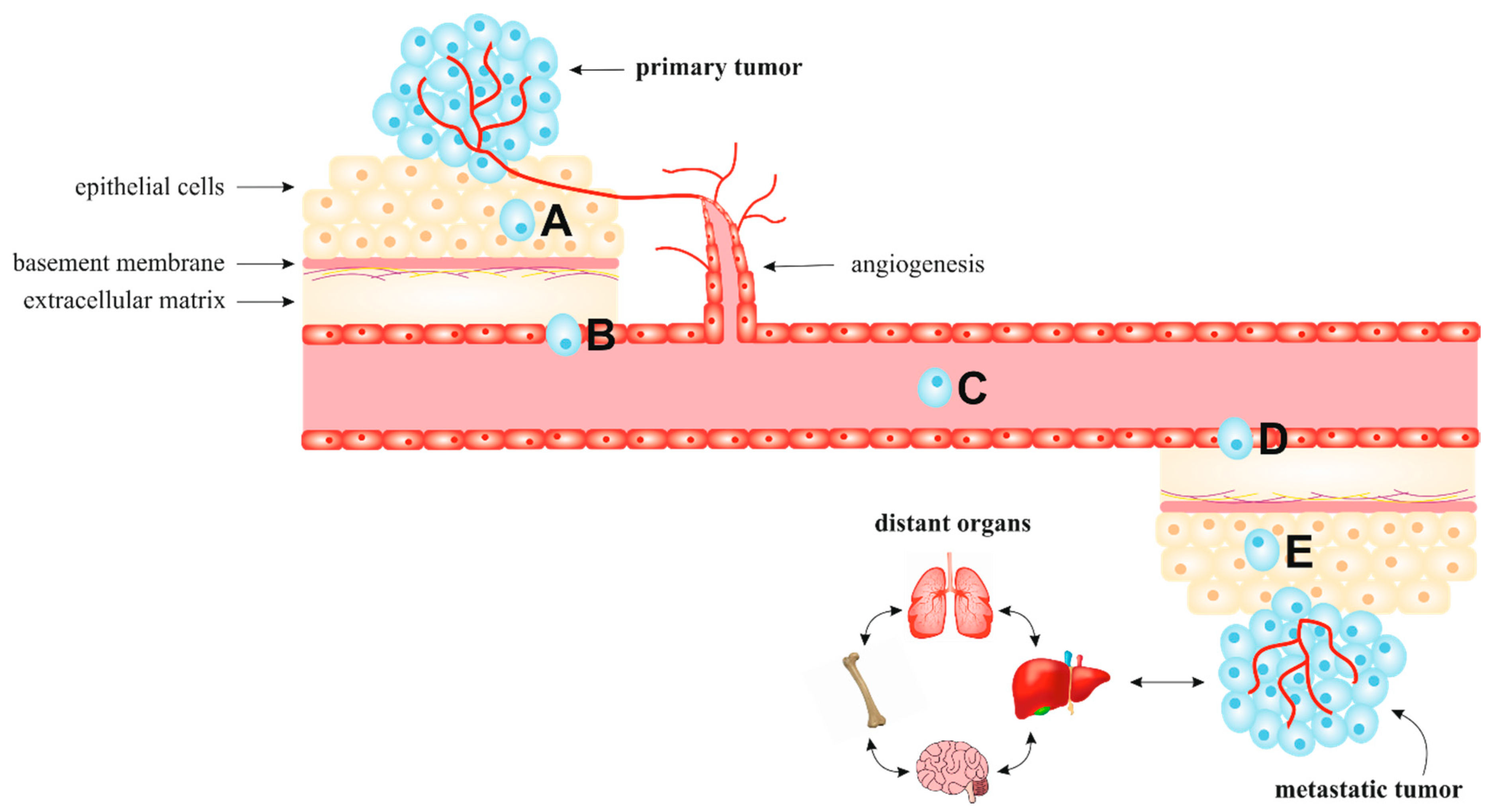 Biomolecules 10 01653 g001