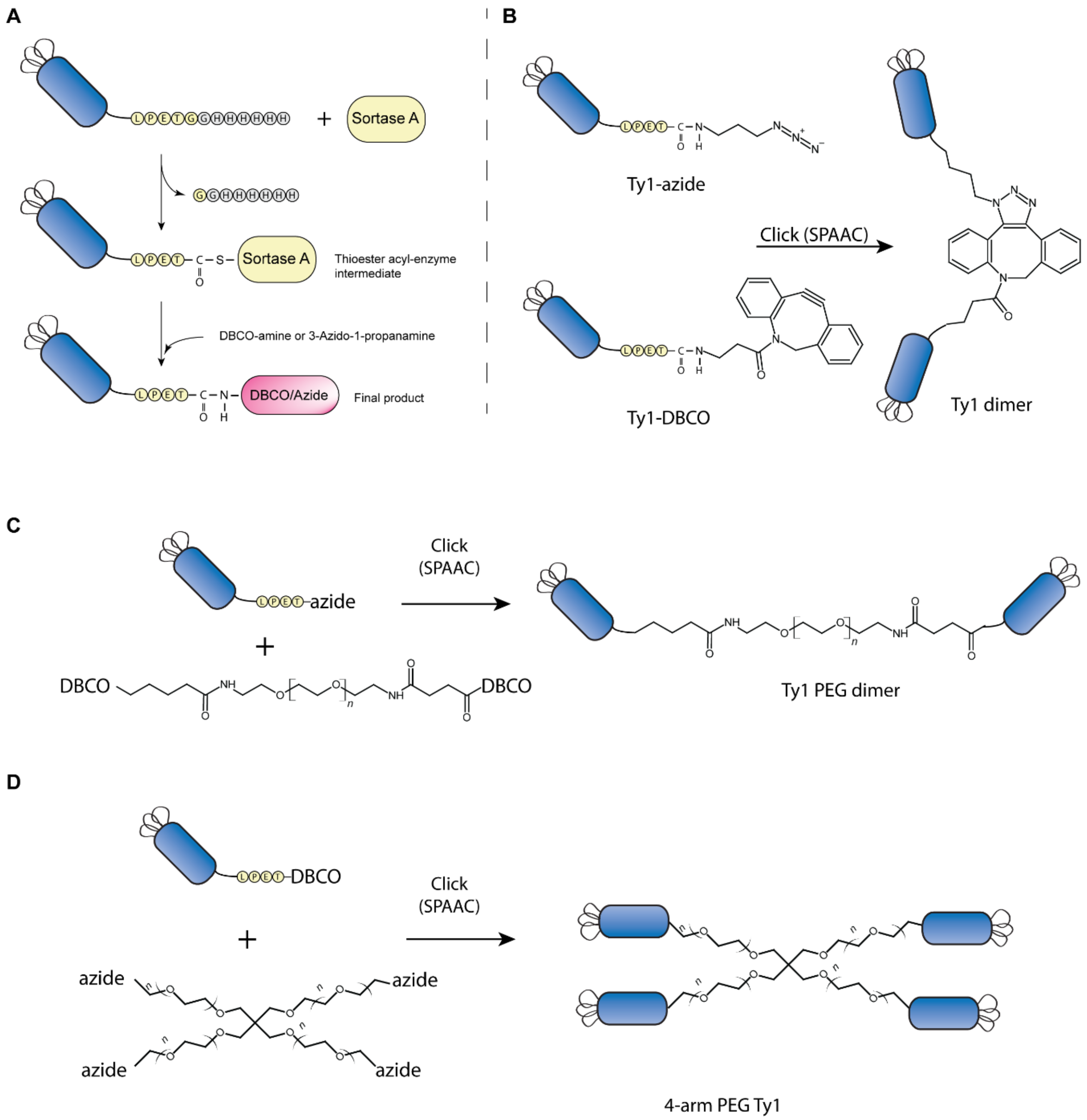 Biomolecules 10 01661 g001