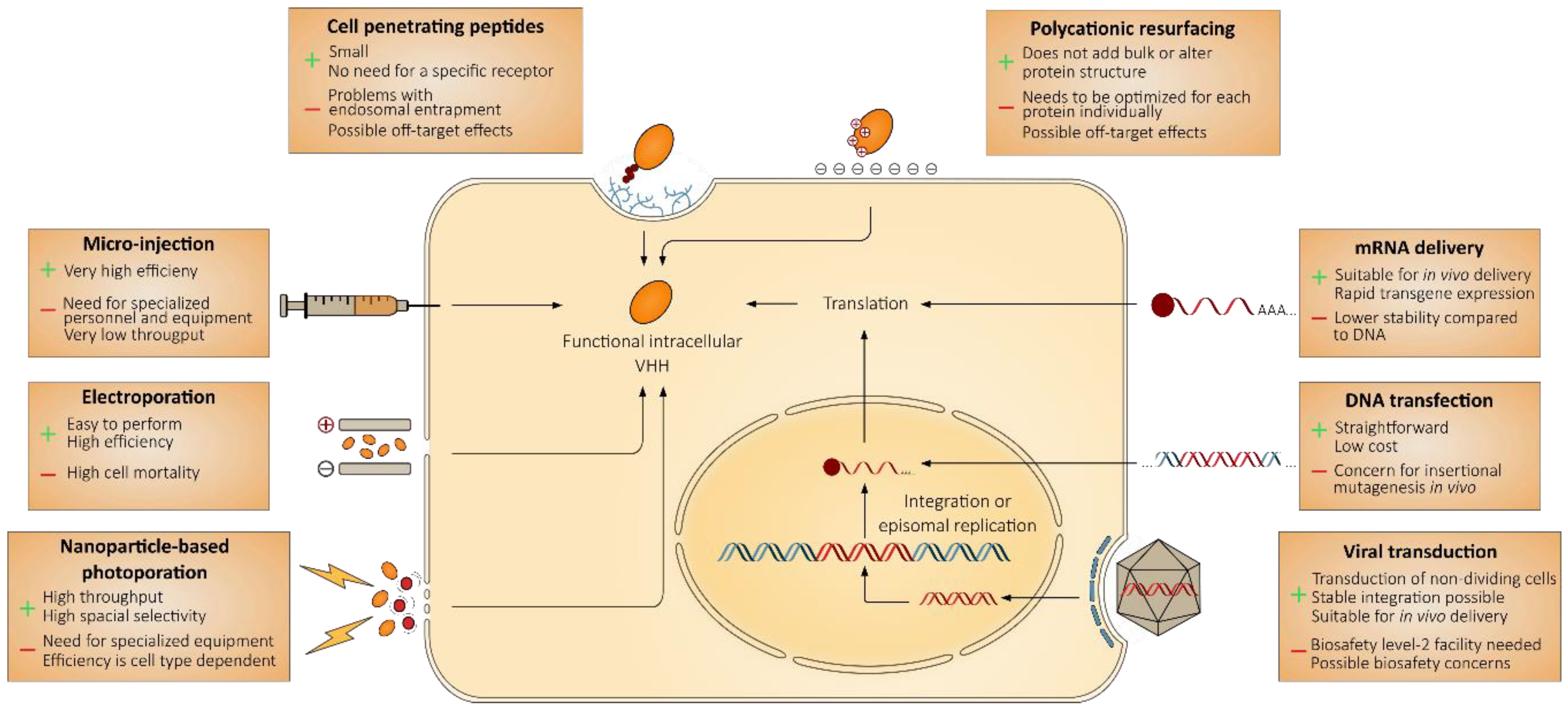 Biomolecules 10 01663 g002