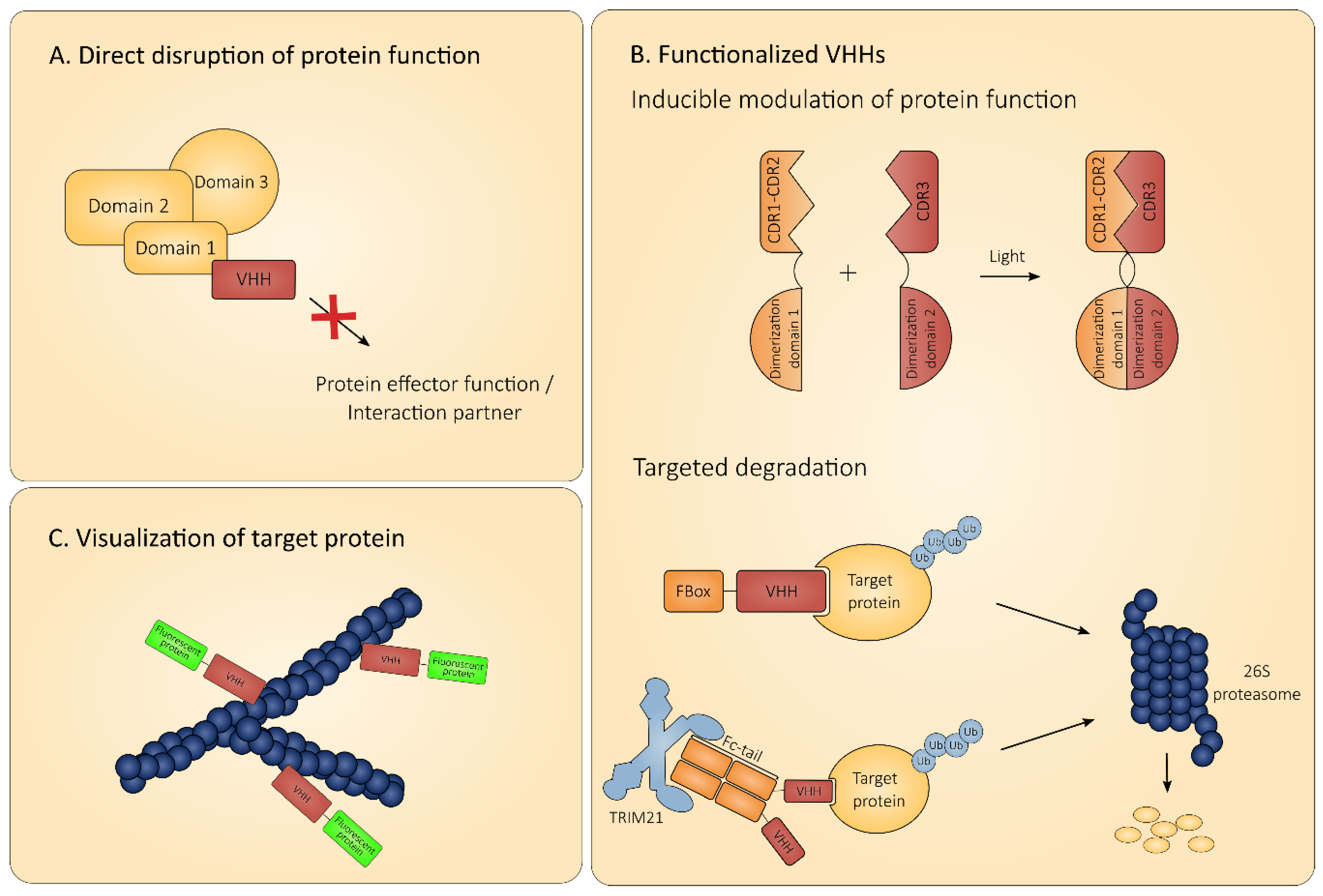 Biomolecules 10 01663 g003