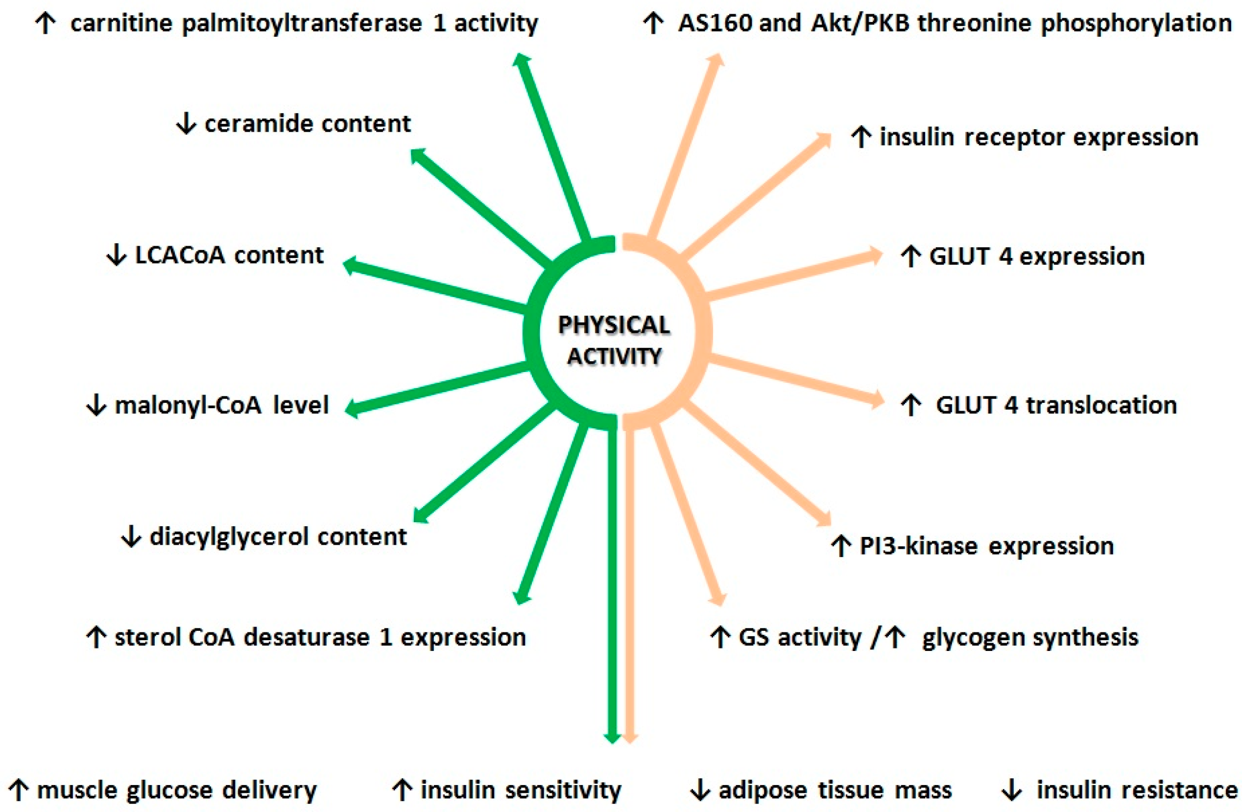 Biomolecules 10 01665 g002