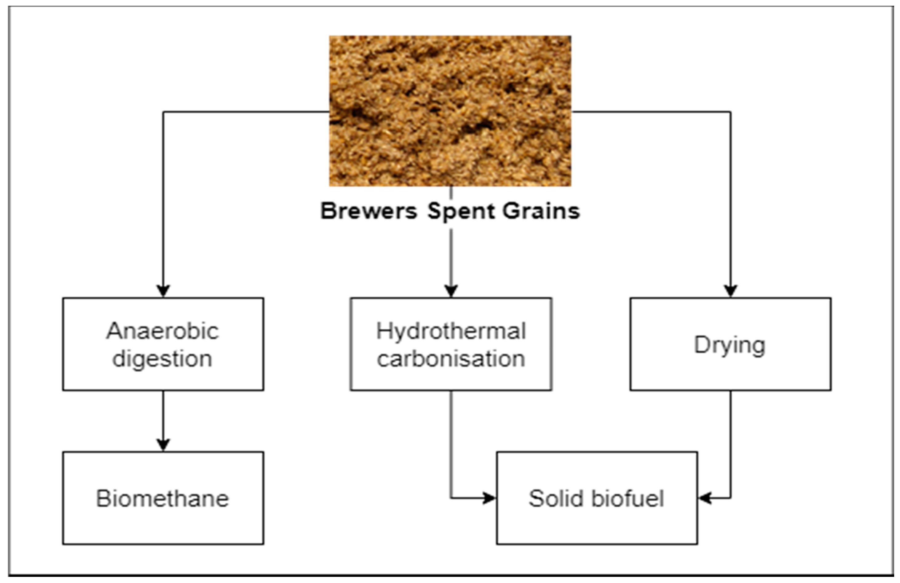 Biomolecules 10 01669 g002