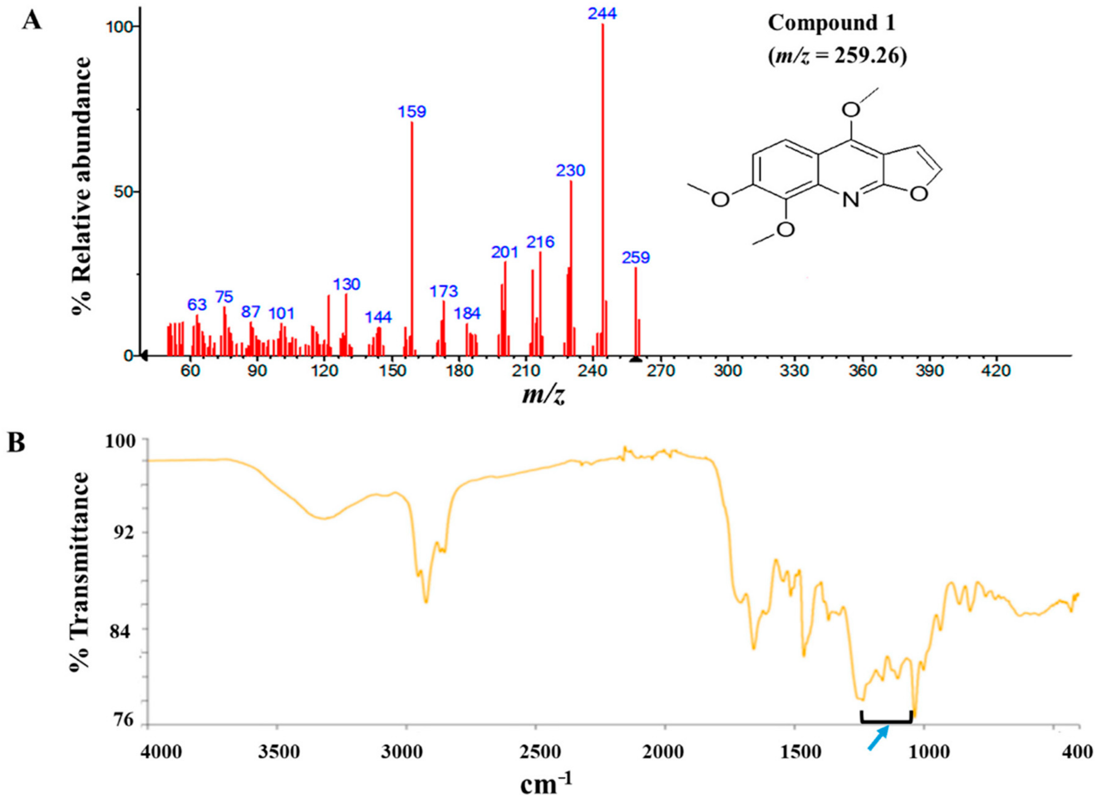 Biomolecules 10 01670 g002