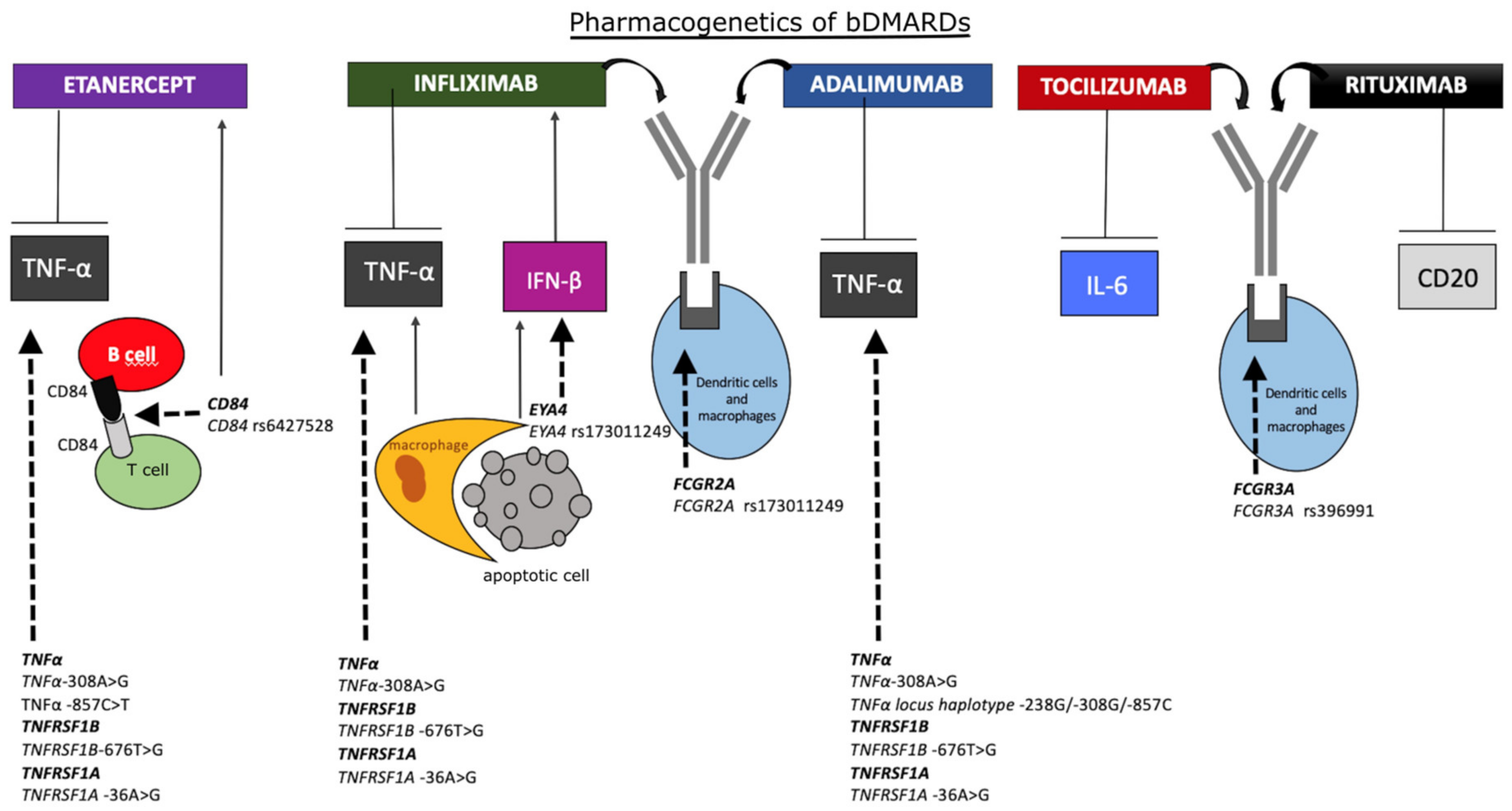 Biomolecules 10 01672 g002