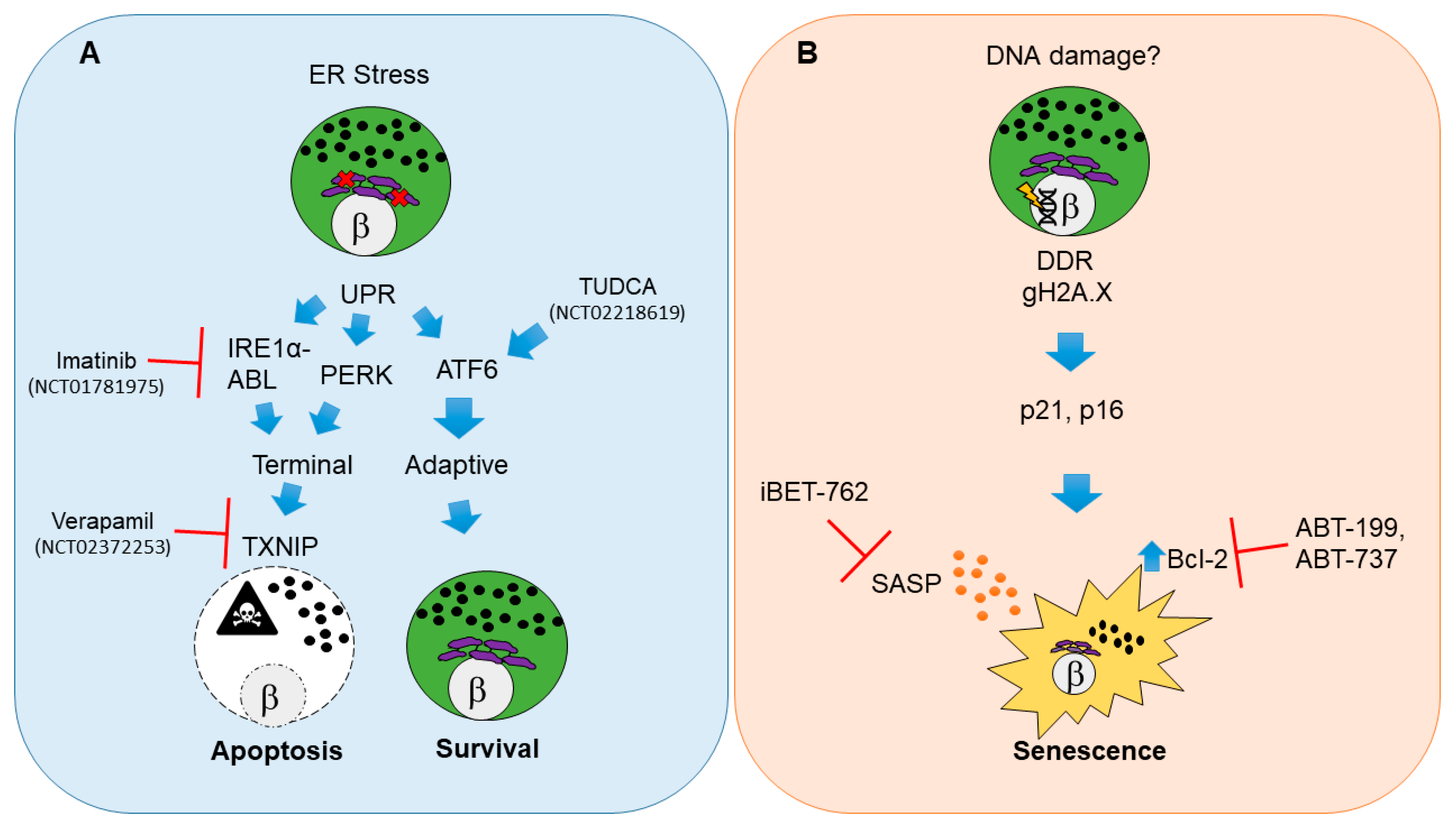 Biomolecules 10 01681 g001