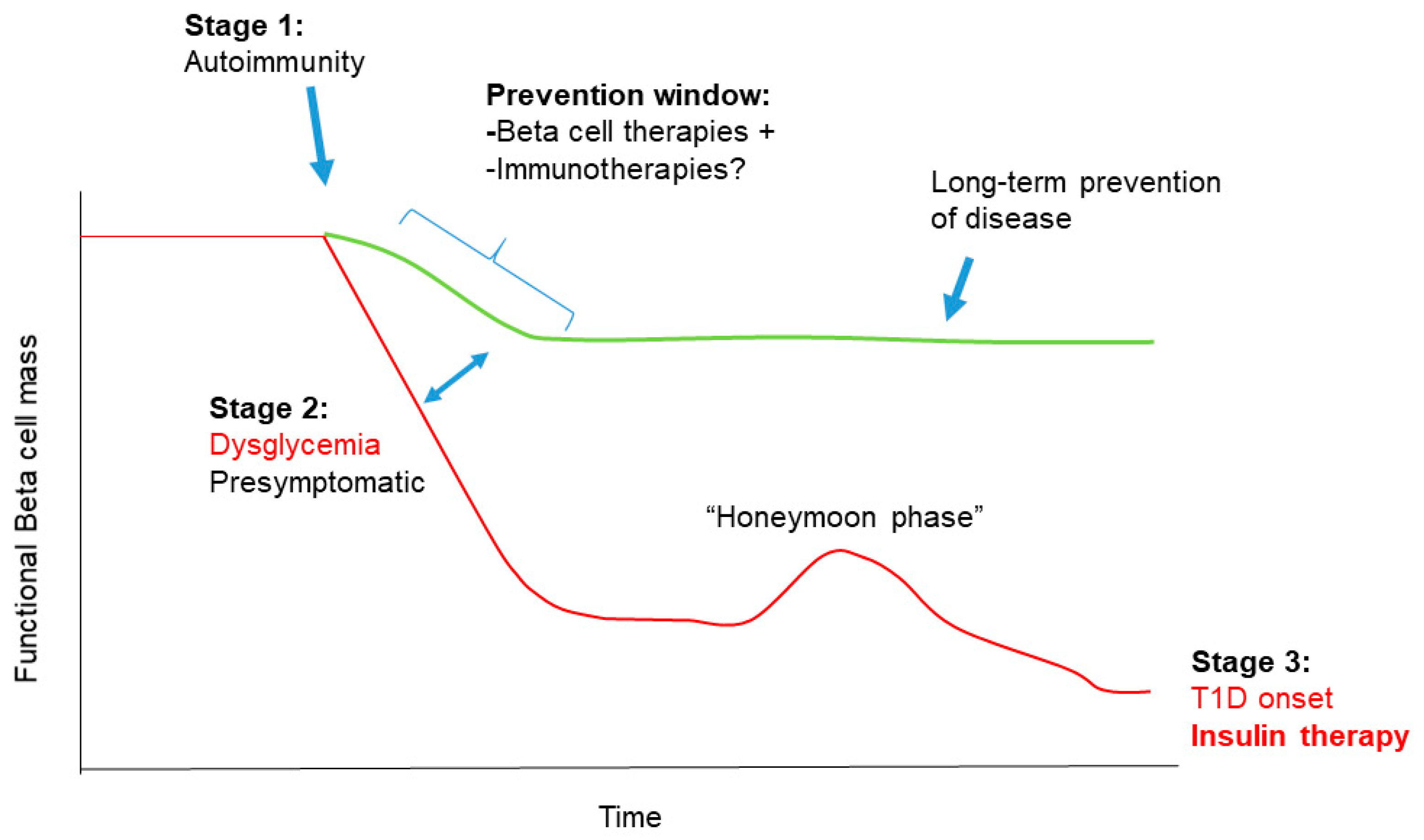 Biomolecules 10 01681 g002