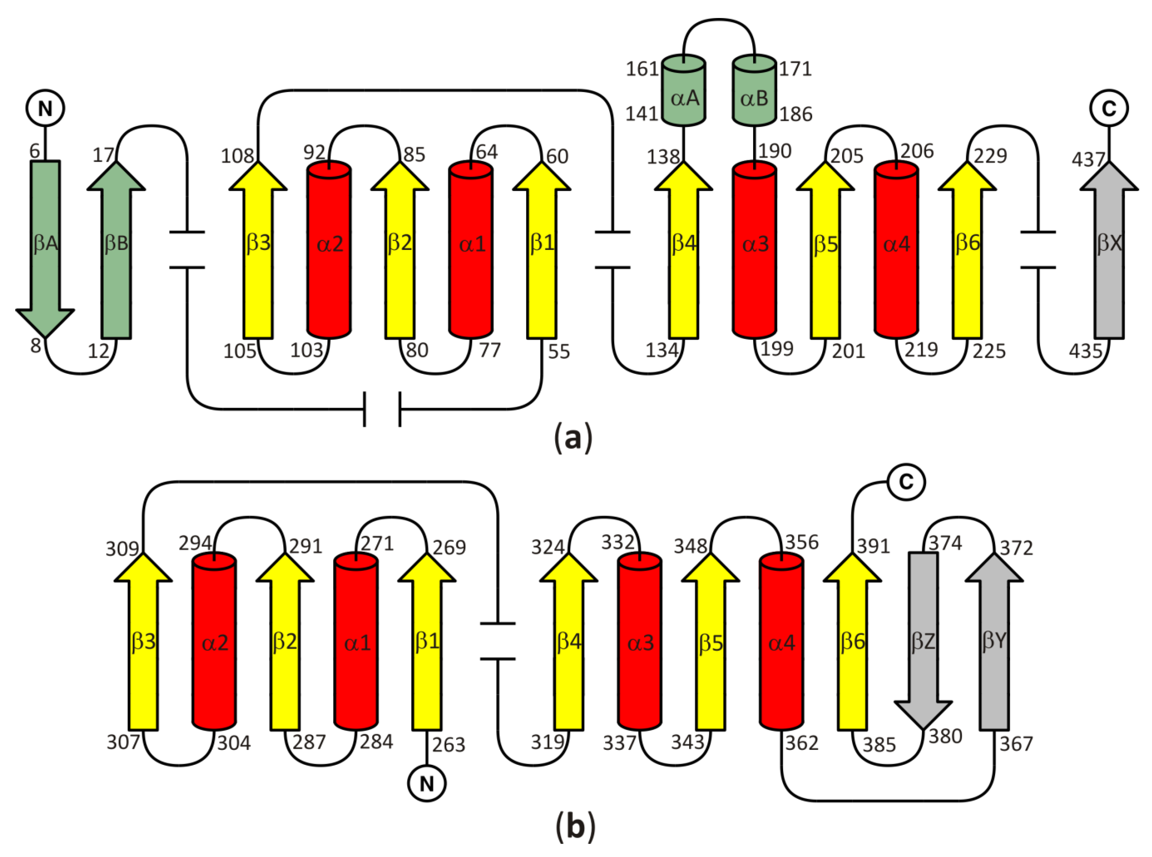 Biomolecules 10 01682 g002 Biomolecules 10 01682 g002