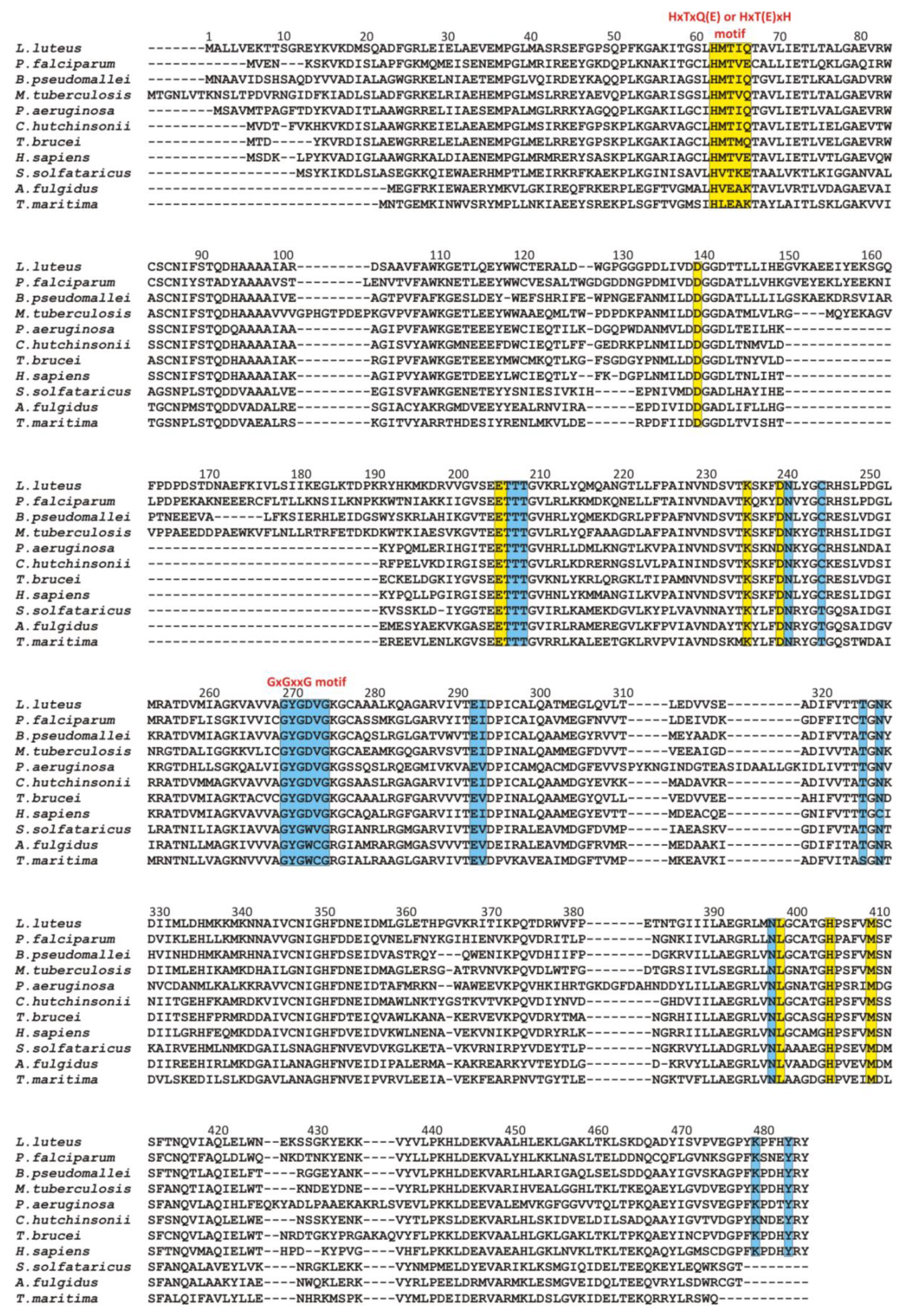 Biomolecules 10 01682 g003 Biomolecules 10 01682 g003