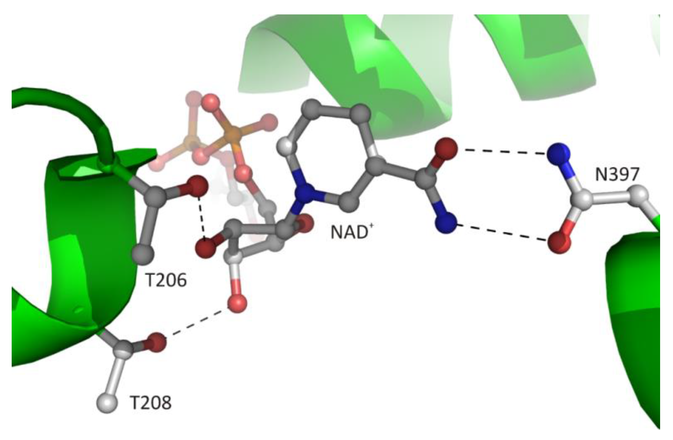 Biomolecules 10 01682 g007 Biomolecules 10 01682 g007