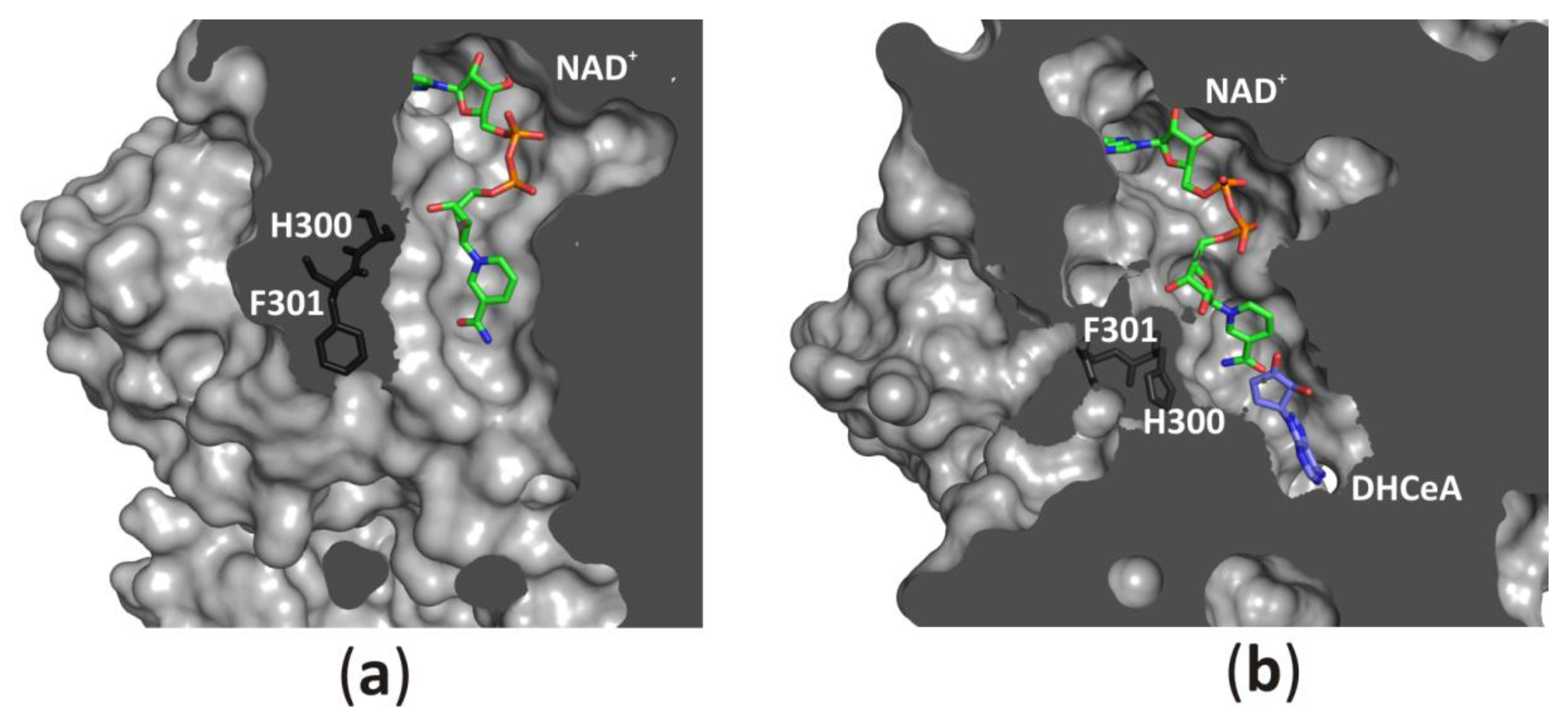 Biomolecules 10 01682 g008 Biomolecules 10 01682 g008