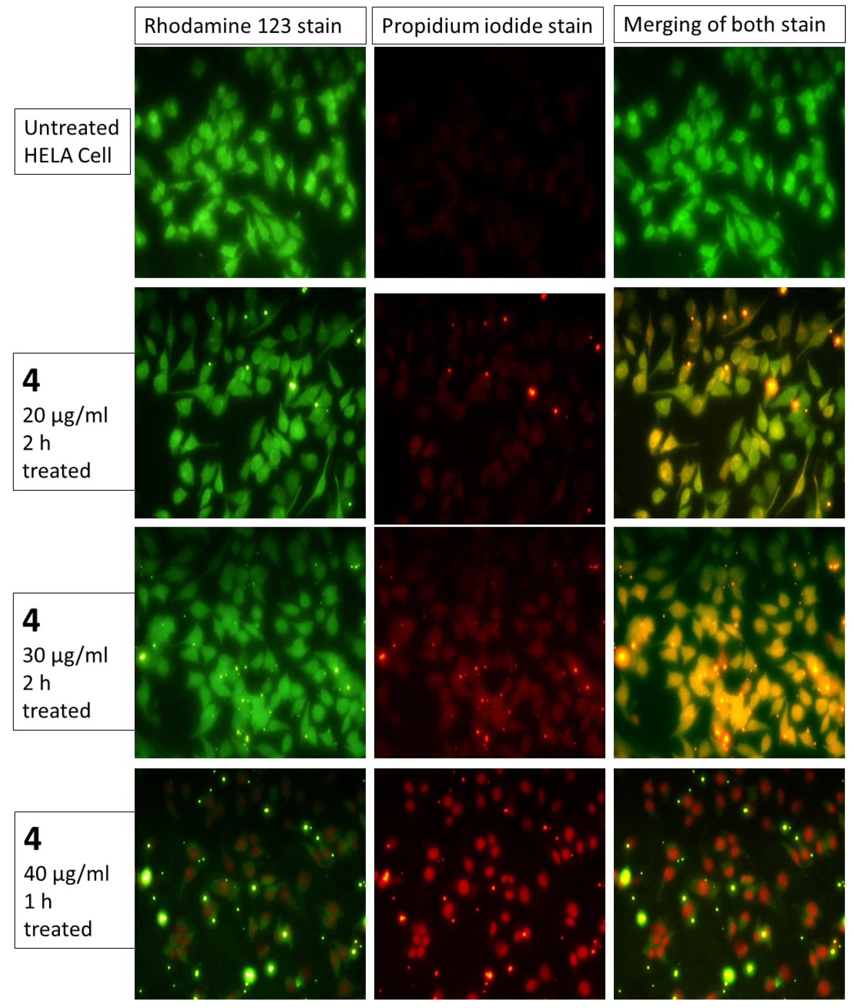 Biomolecules 10 01684 g003