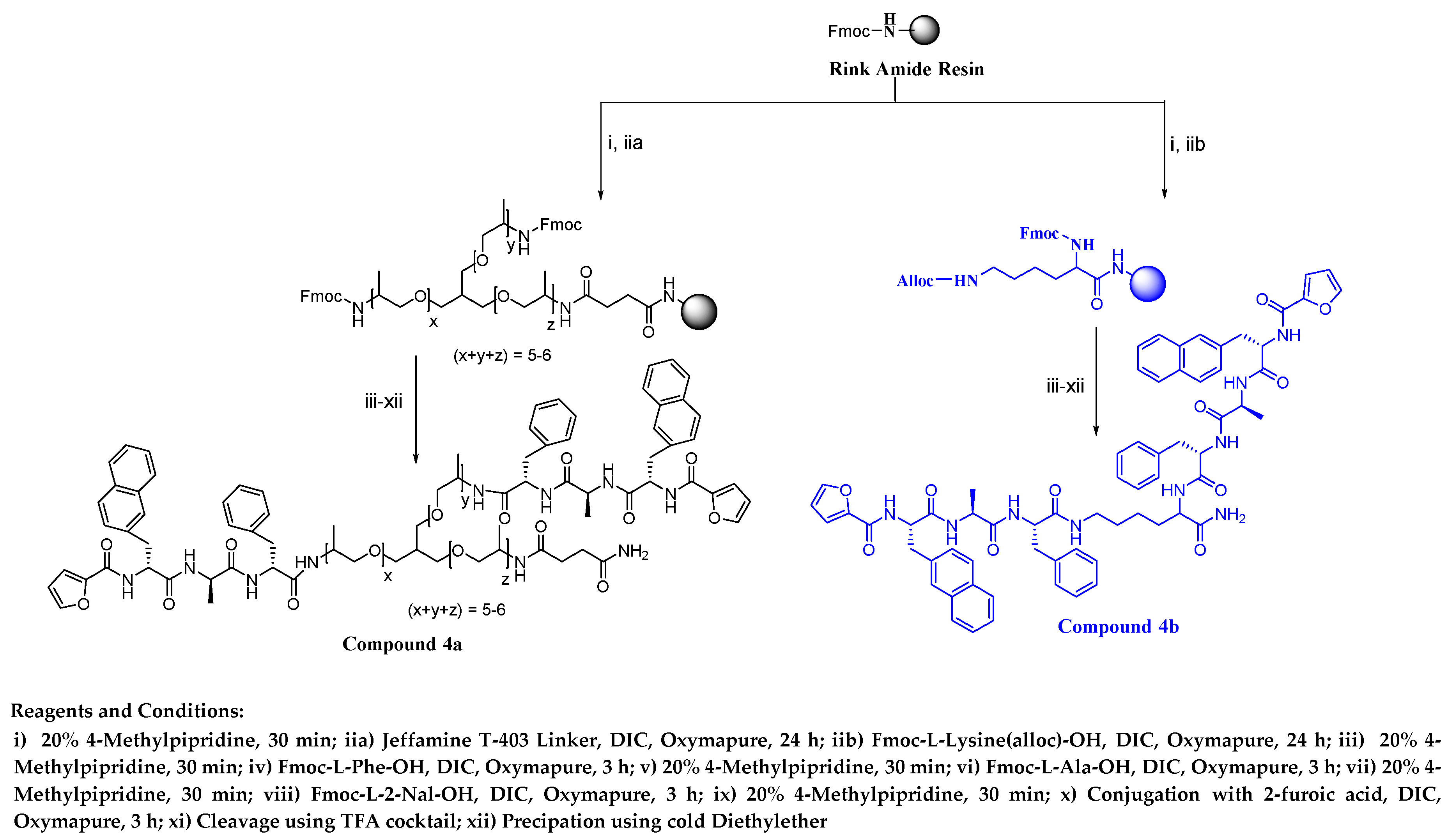 Biomolecules 10 01684 sch001