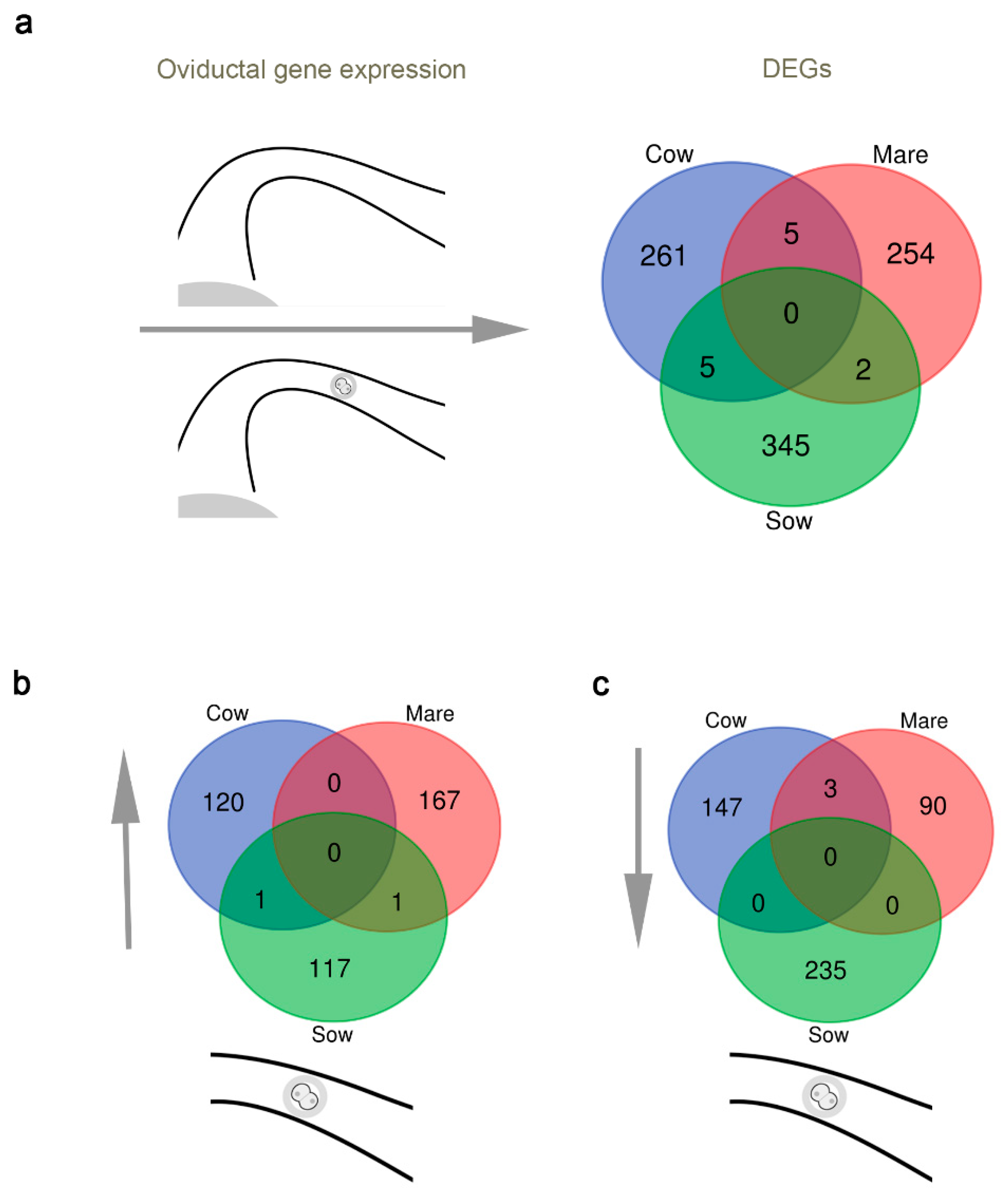 Biomolecules 10 01690 g001