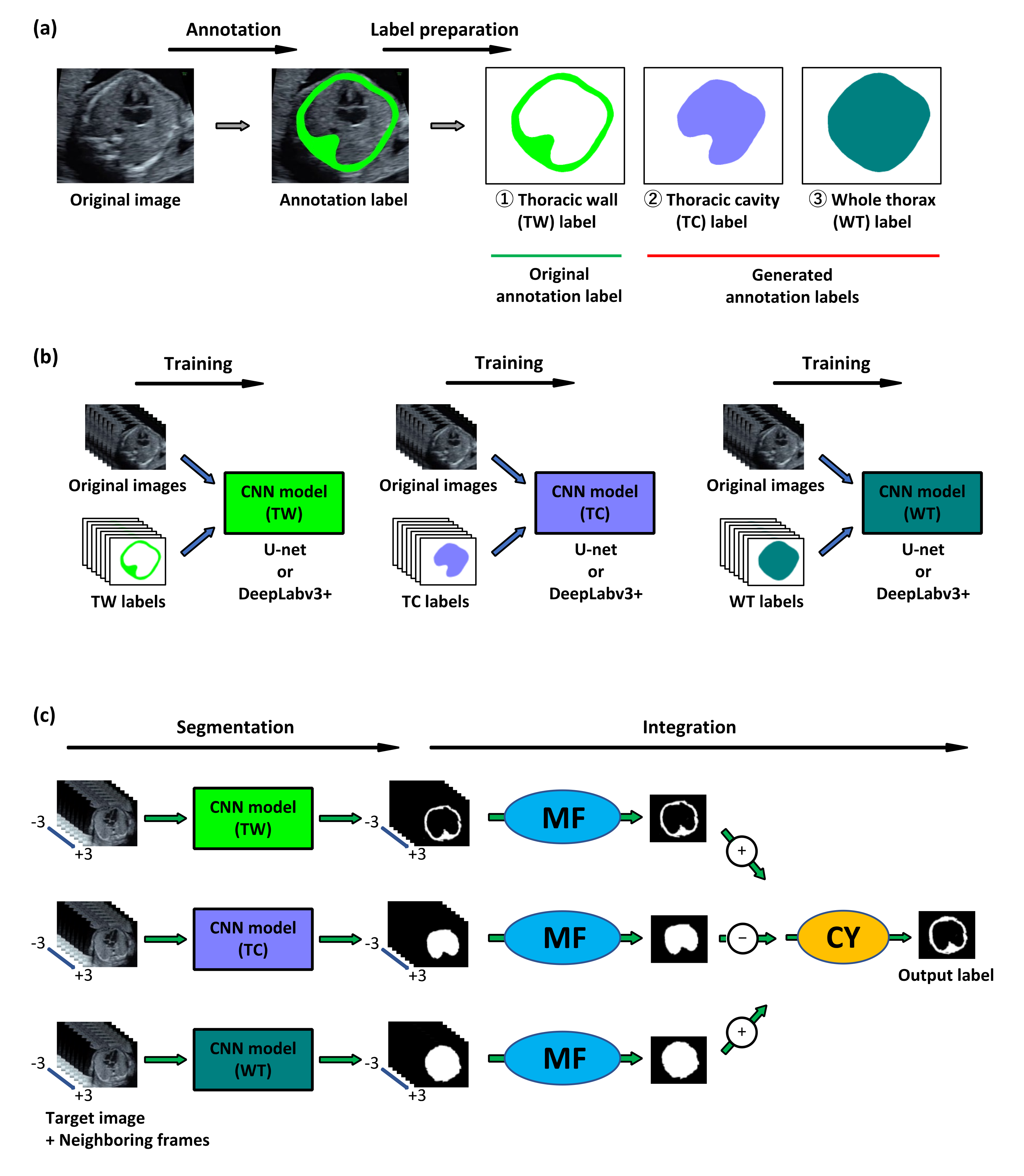 Biomolecules 10 01691 g001 Biomolecules 10 01691 g001