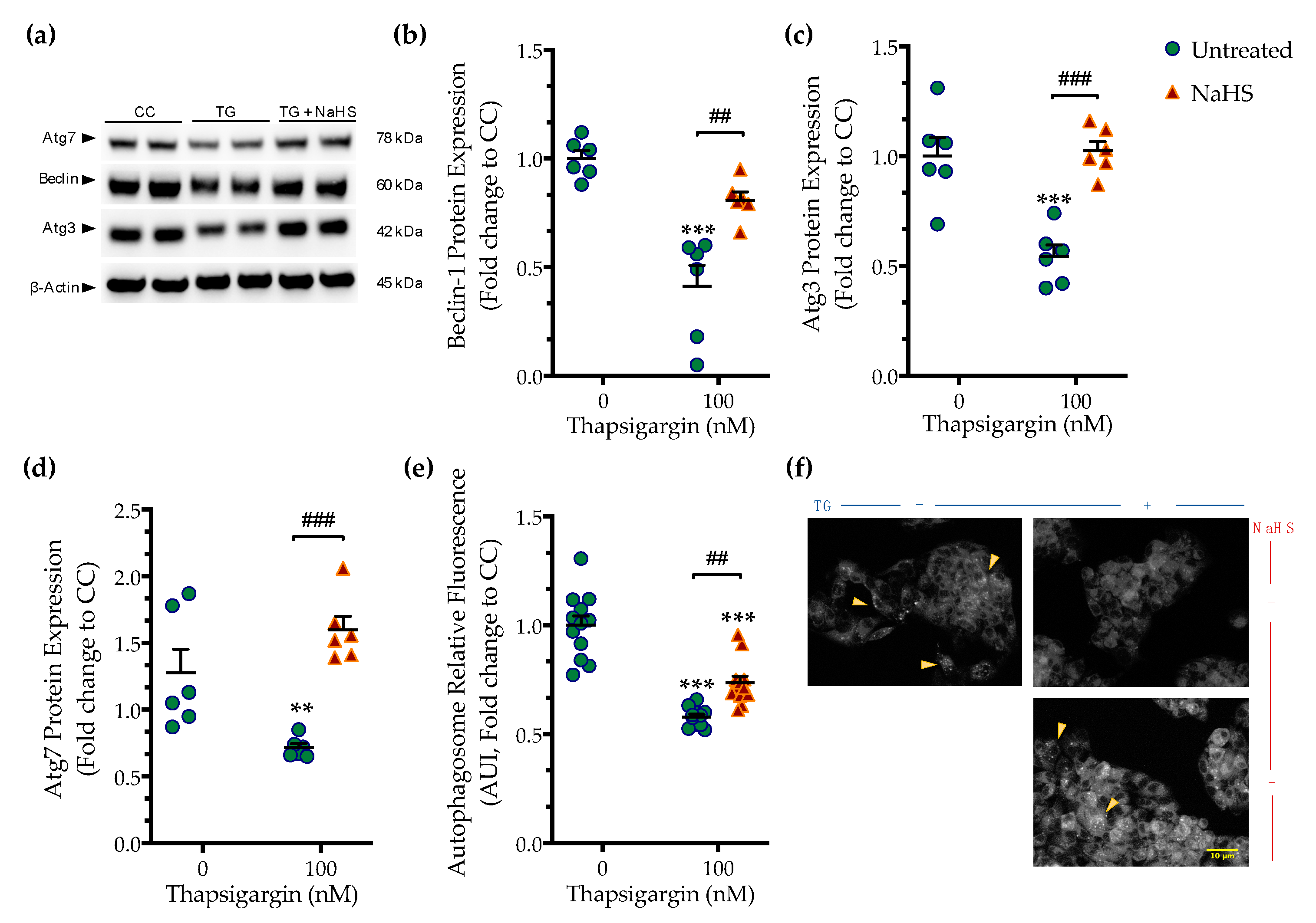 Biomolecules 10 01692 g005